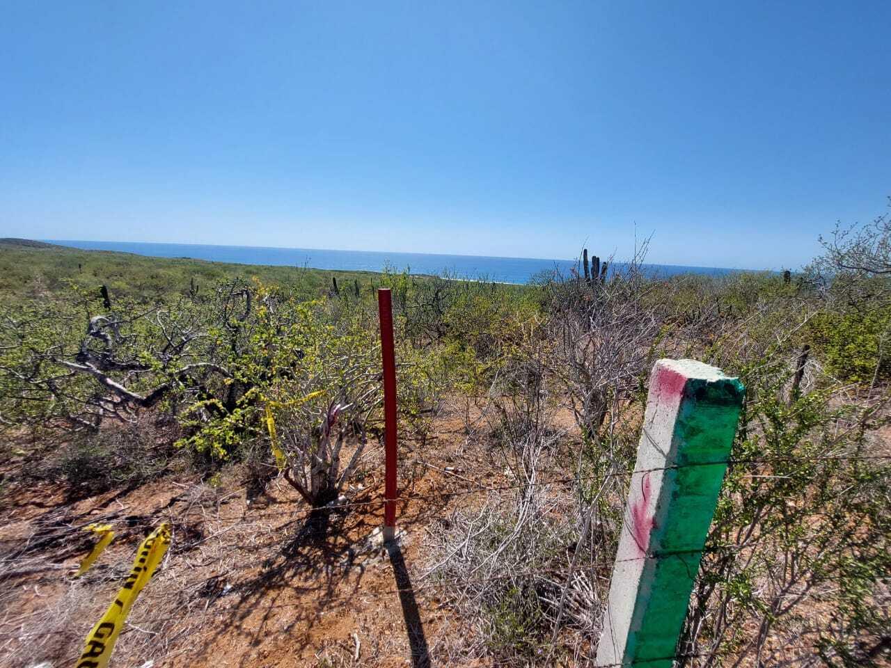 México 1, DOS HAS OCEAN FRONT ELIAS CALL