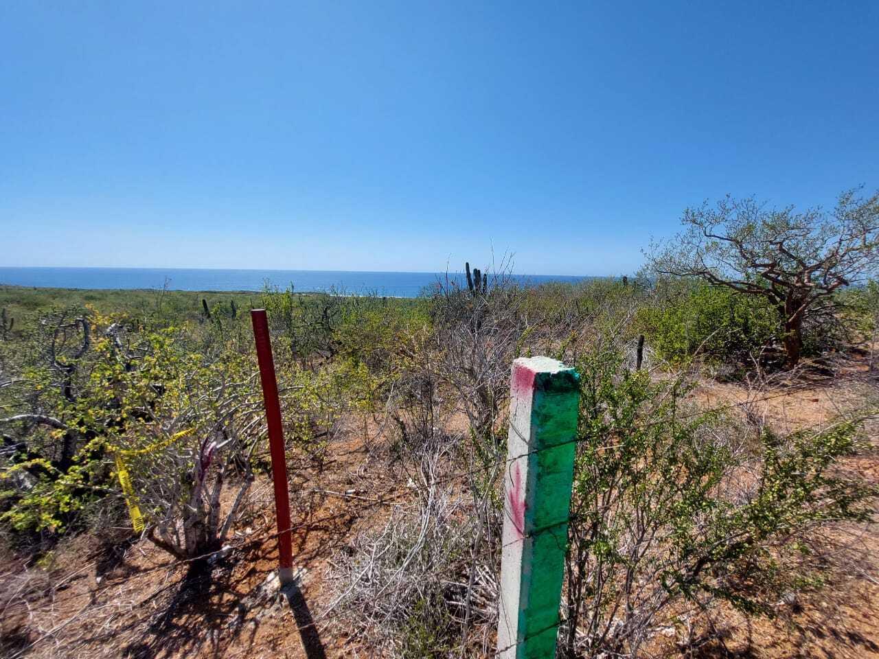 México 1, DOS HAS OCEAN FRONT ELIAS CALL