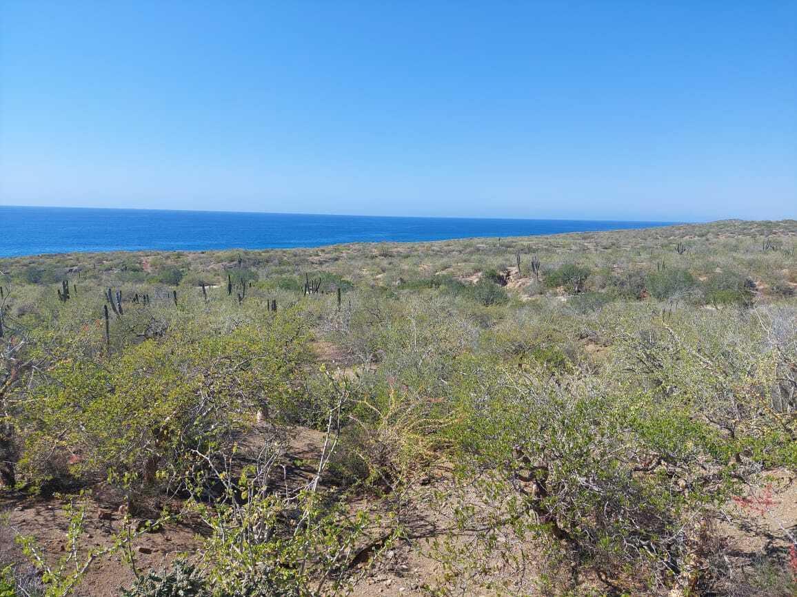 México 1, 19.5 HAS OCEAN FRONT ELIAS CAL