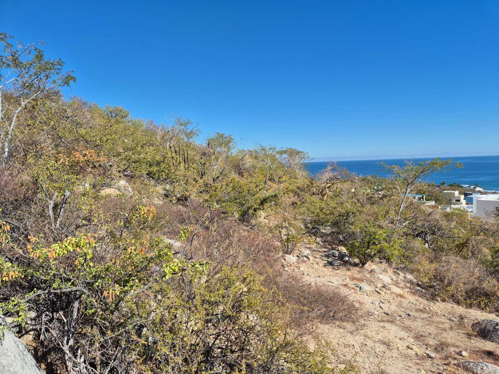 LOTE NUMERO 6, DE LA MANZANA B, BUENAVISTA LAND