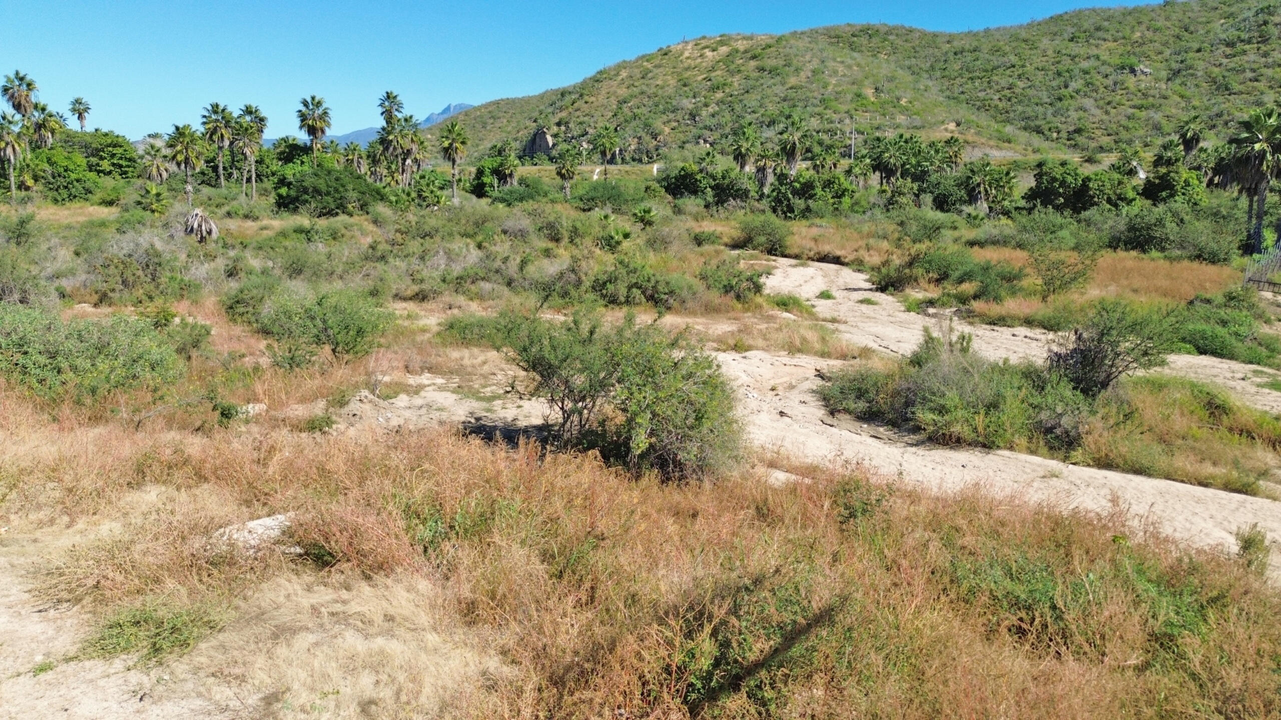 Carretera Todos Santos, Hectare Huerta Lot