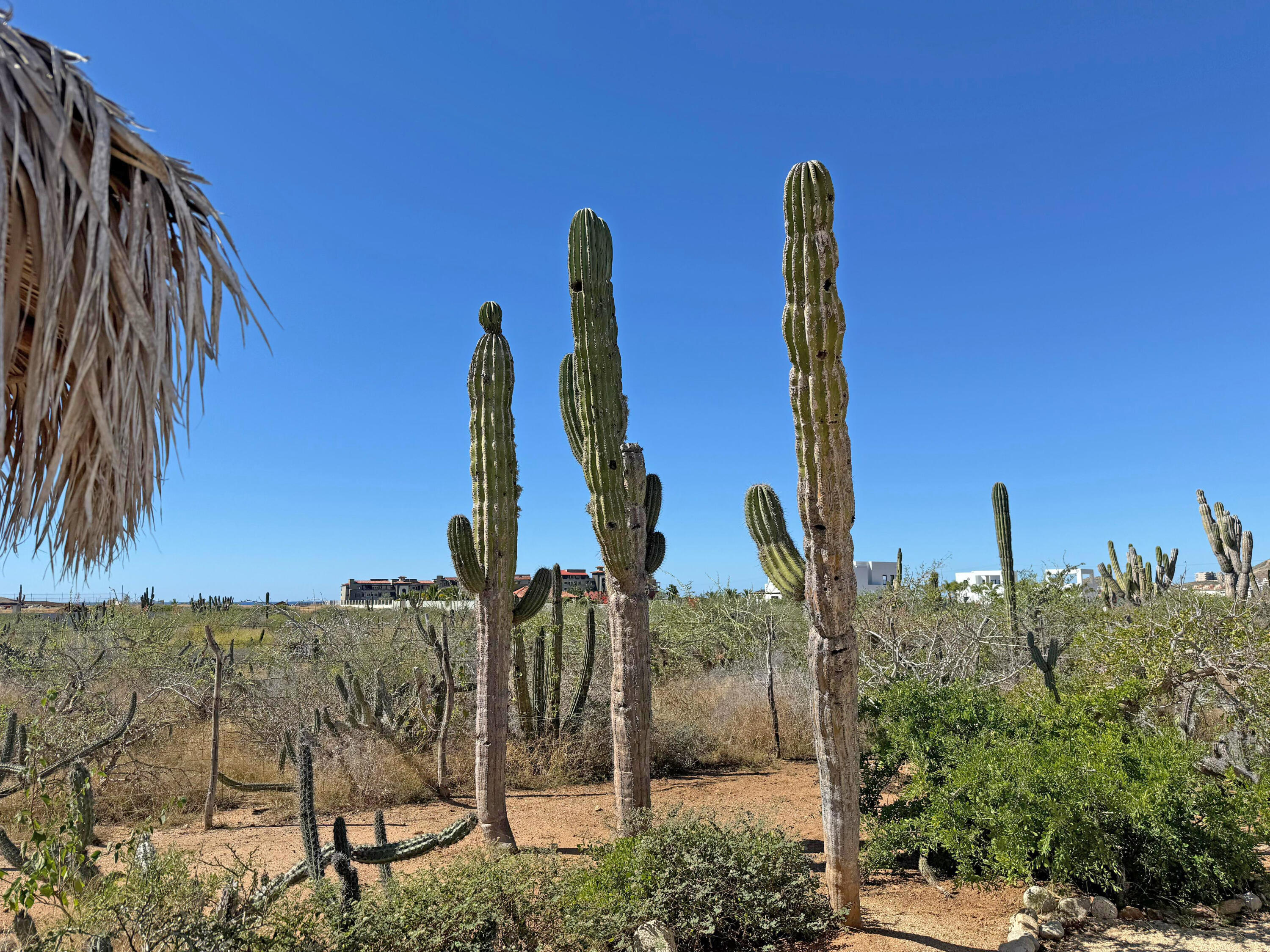 Cerritos Surf Retreat