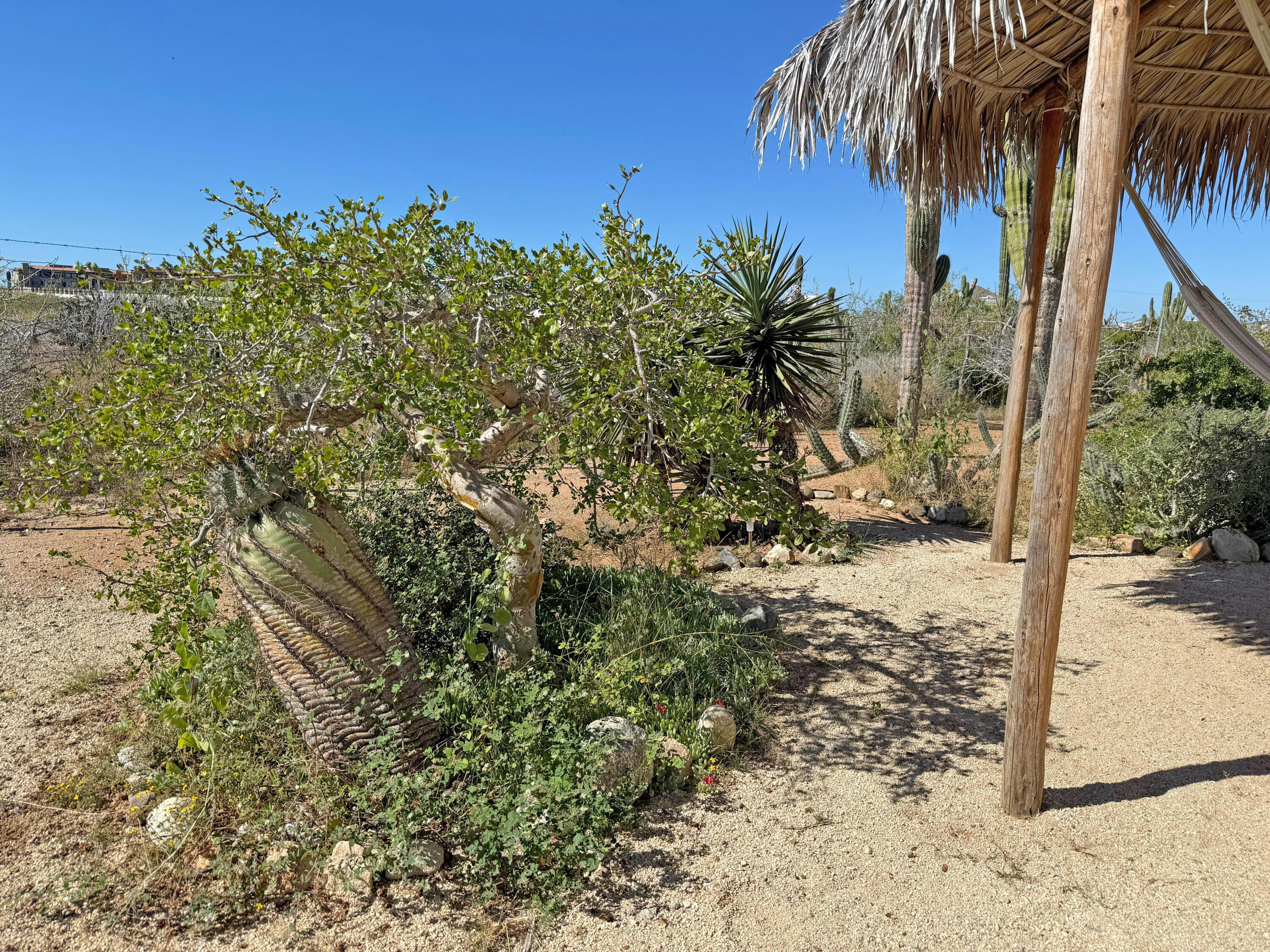 Cerritos Surf Retreat