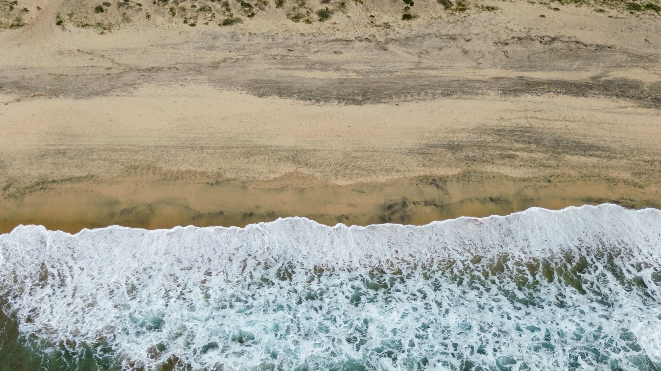 Cerritos Surf Retreat