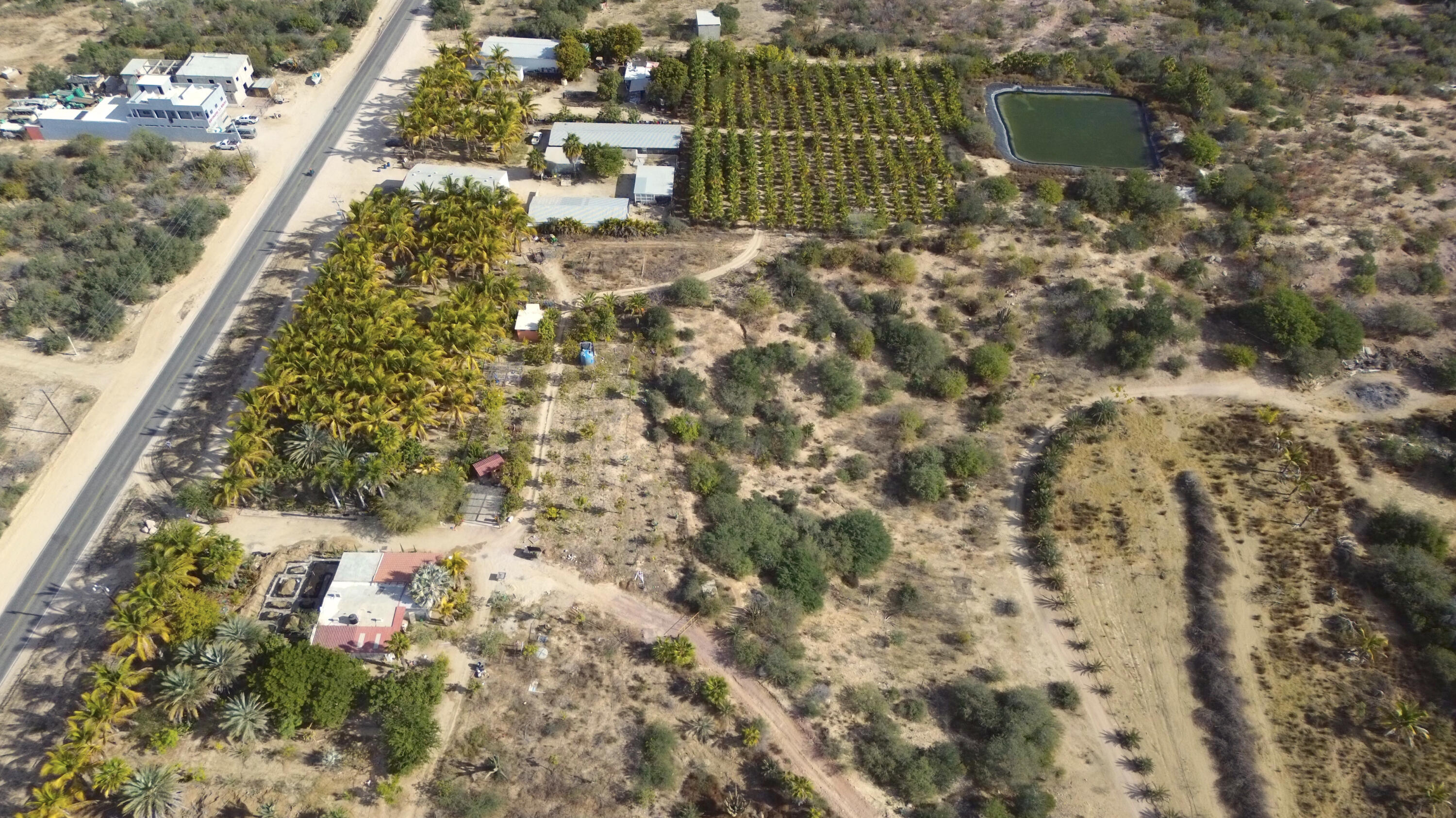 CARRETERA LA RIBERA, RANCHO LA SOLEDAD