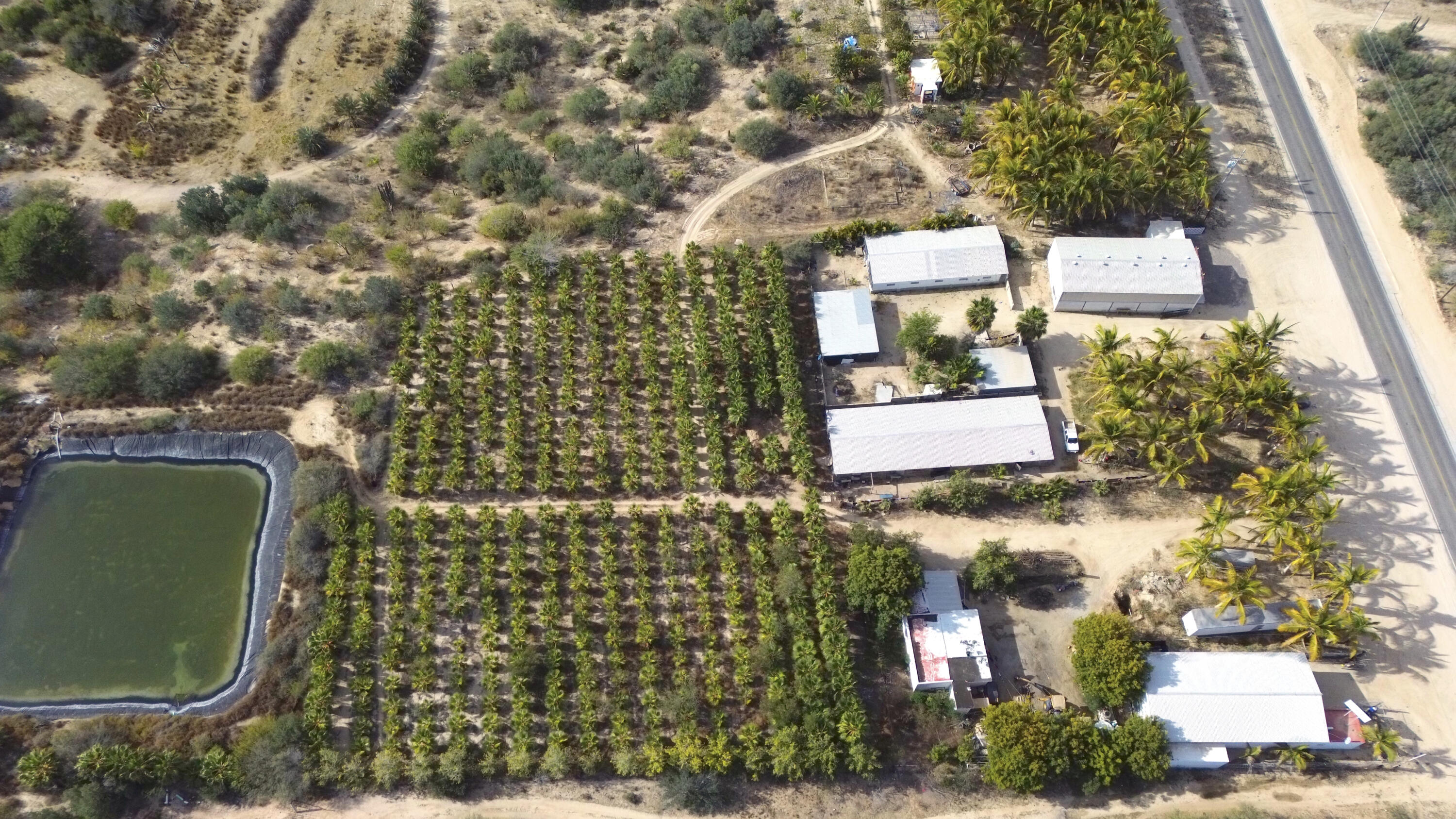 CARRETERA LA RIBERA, RANCHO LA SOLEDAD
