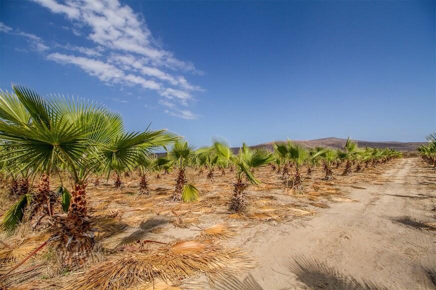 CARRETERA LA RIBERA, RANCHO LA SOLEDAD