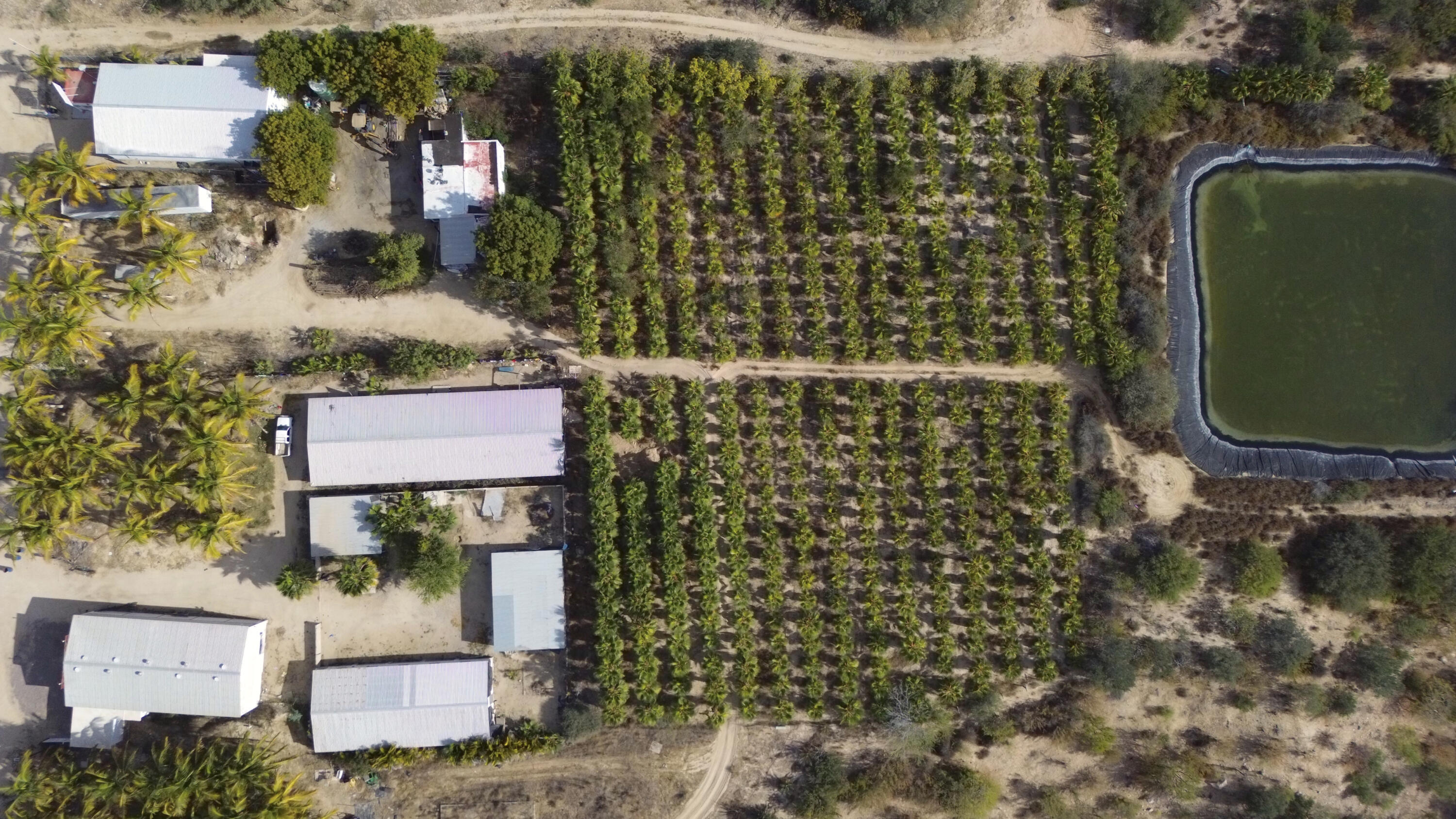CARRETERA LA RIBERA, RANCHO LA SOLEDAD