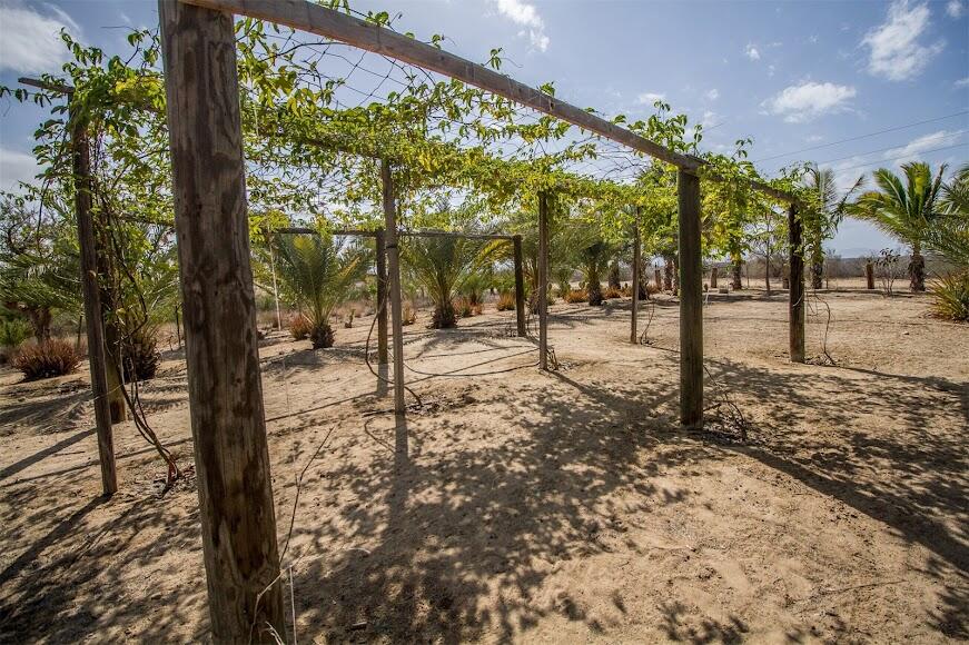 CARRETERA LA RIBERA, RANCHO LA SOLEDAD