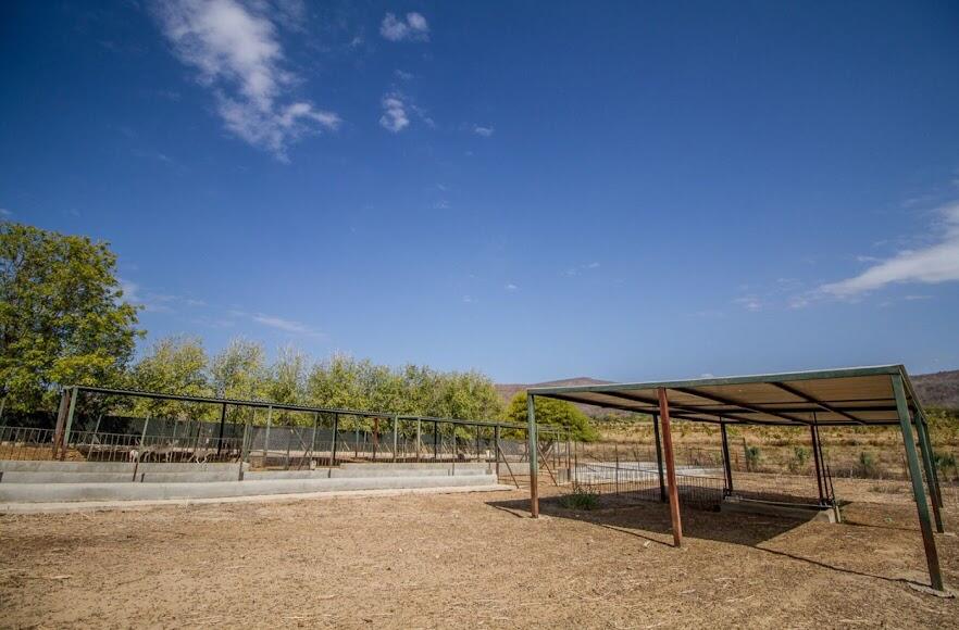 CARRETERA LA RIBERA, RANCHO LA SOLEDAD