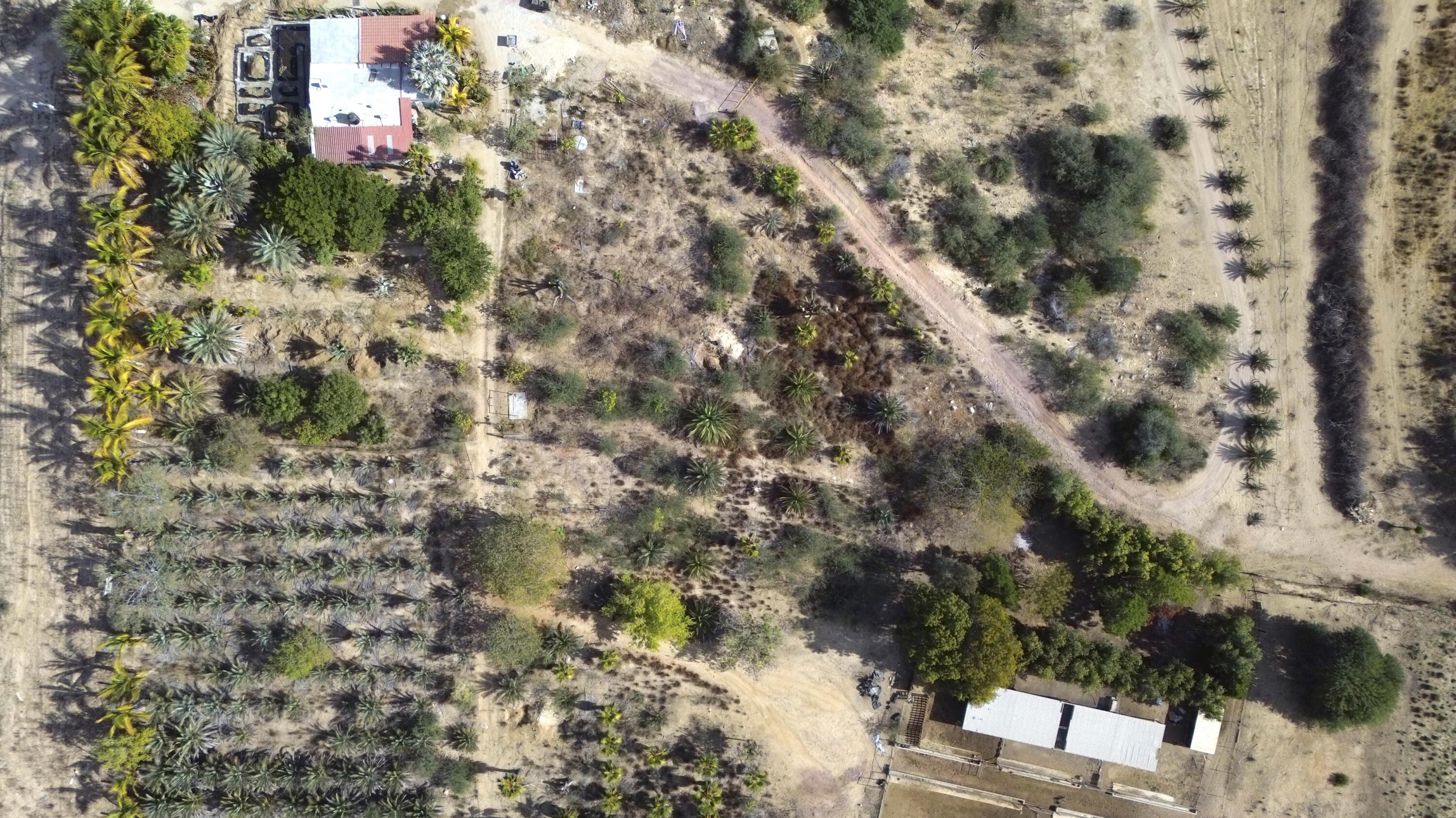 CARRETERA LA RIBERA, RANCHO LA SOLEDAD