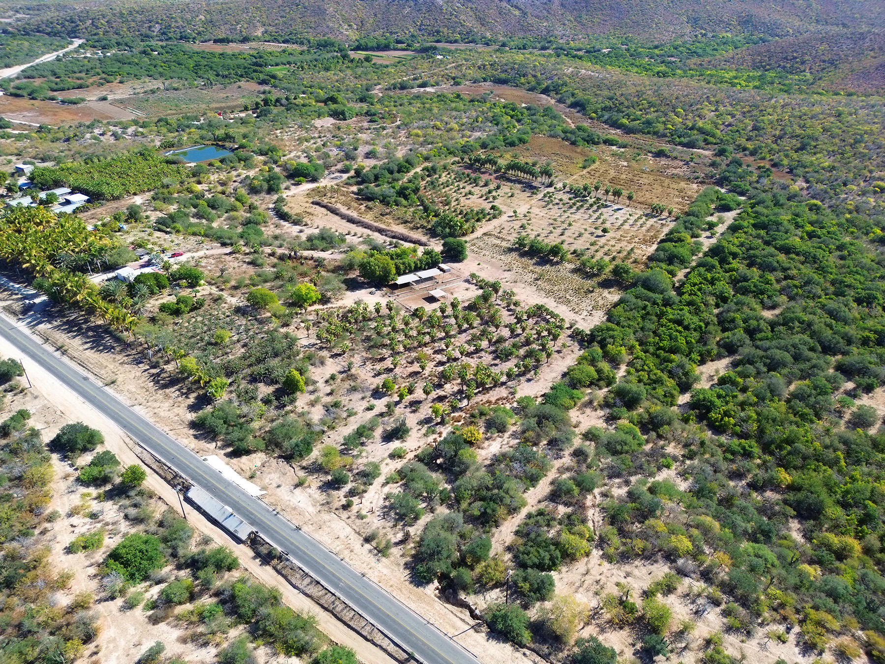 CARRETERA LA RIBERA, RANCHO LA SOLEDAD
