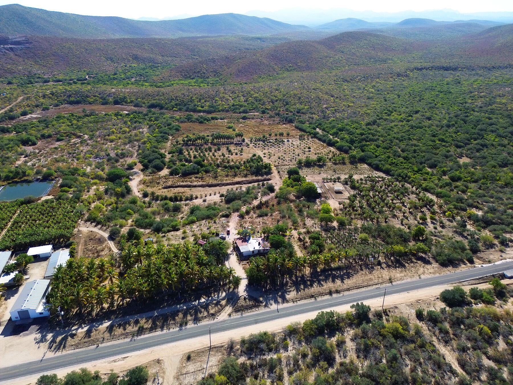 CARRETERA LA RIBERA, RANCHO LA SOLEDAD