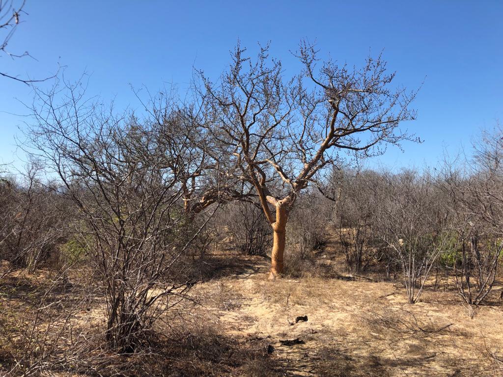 campamento lote 15, Magda Lot