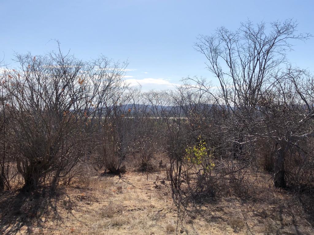 campamento lote 15, Magda Lot