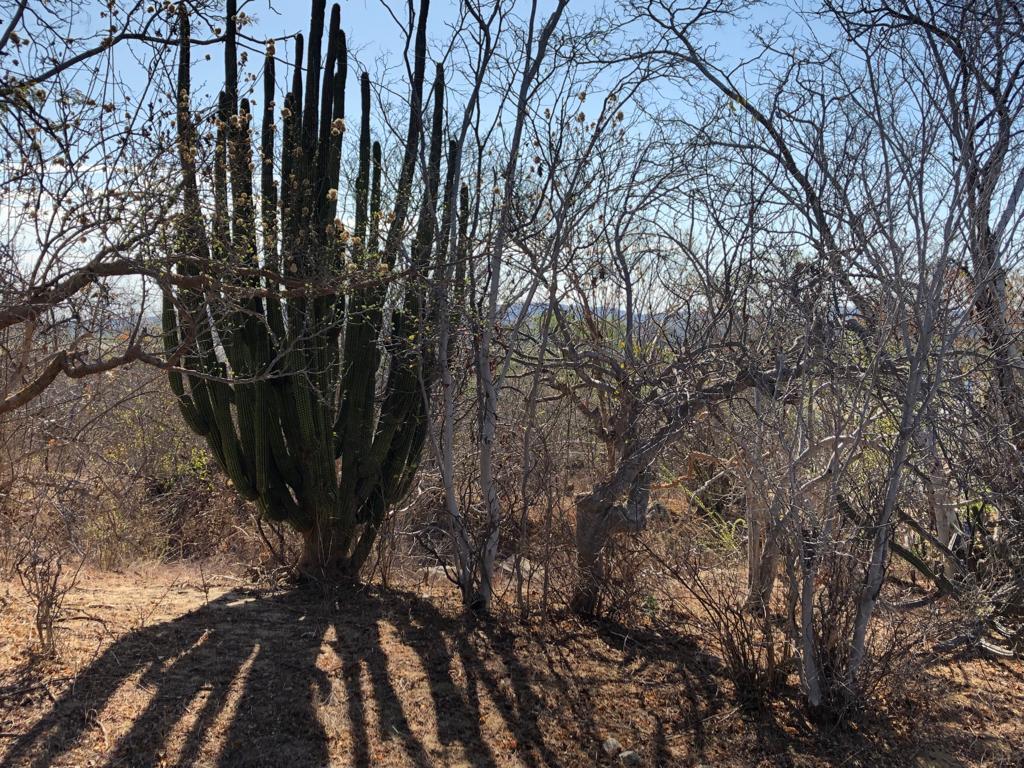 campamento lote 15, Magda Lot