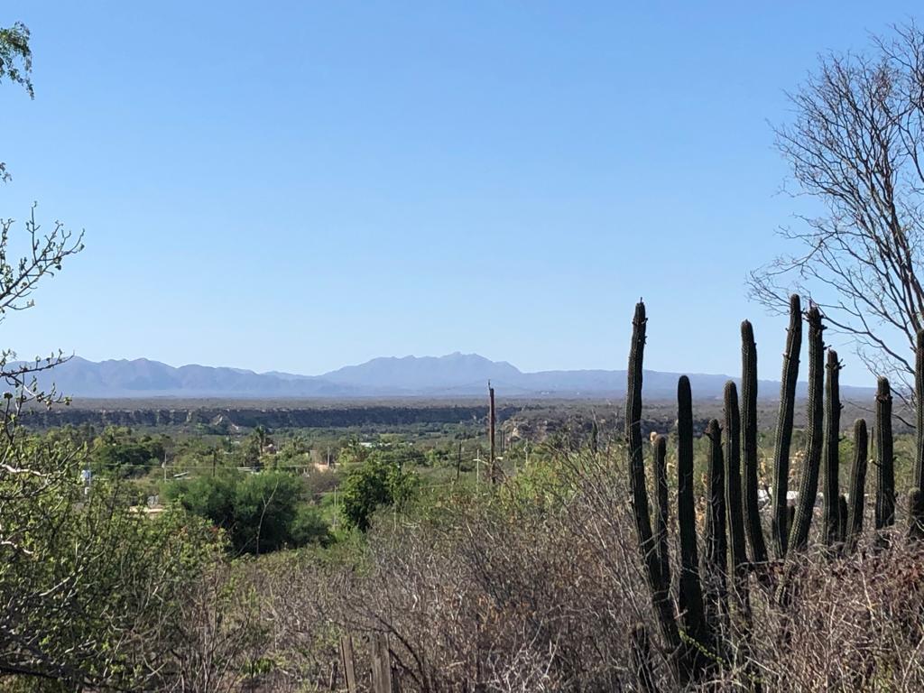 campamento lote 15, Magda Lot