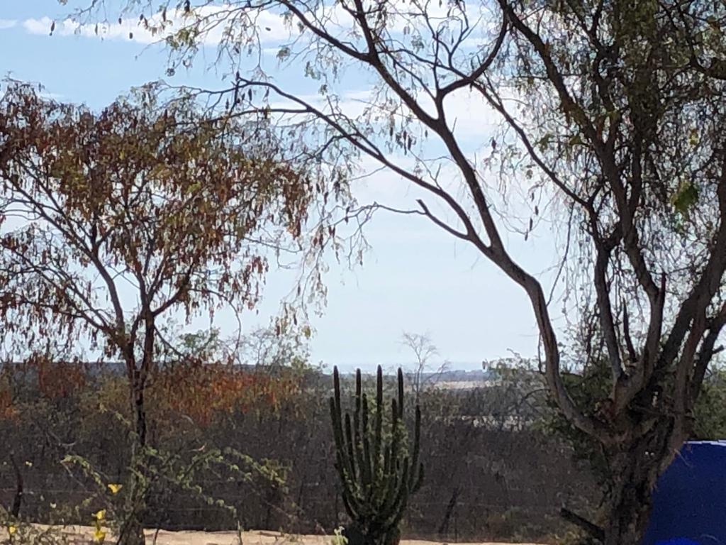 campamento lote 15, Magda Lot