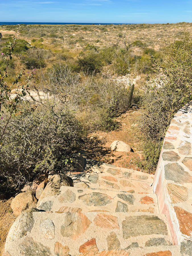 Aires del Mar, Todos Santos