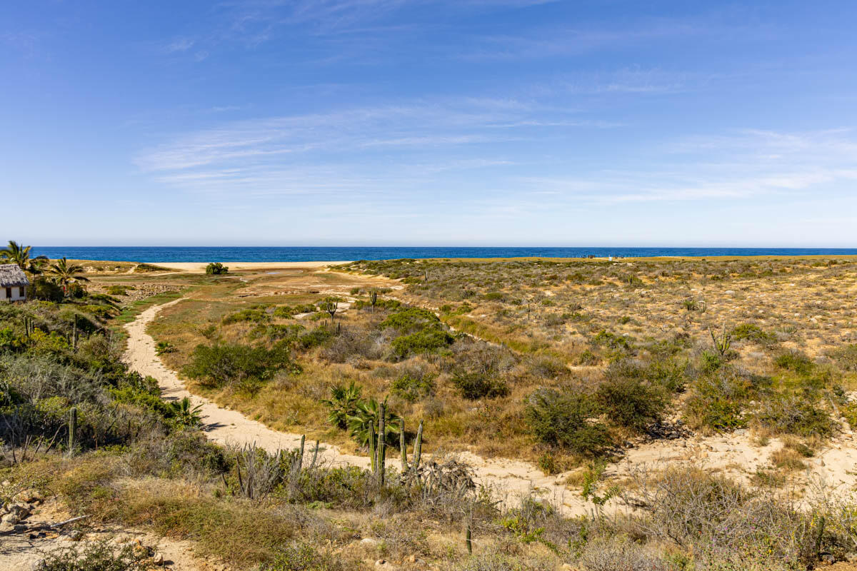 Aires del Mar, Todos Santos