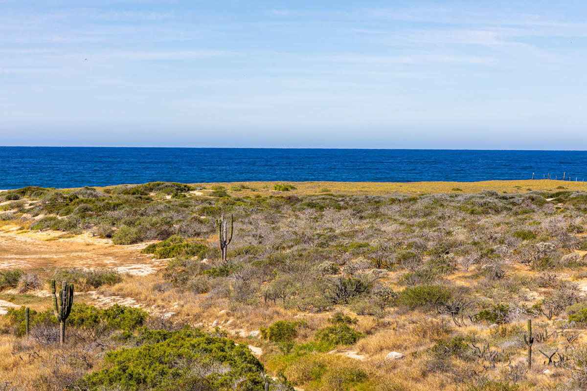 Aires del Mar, Todos Santos