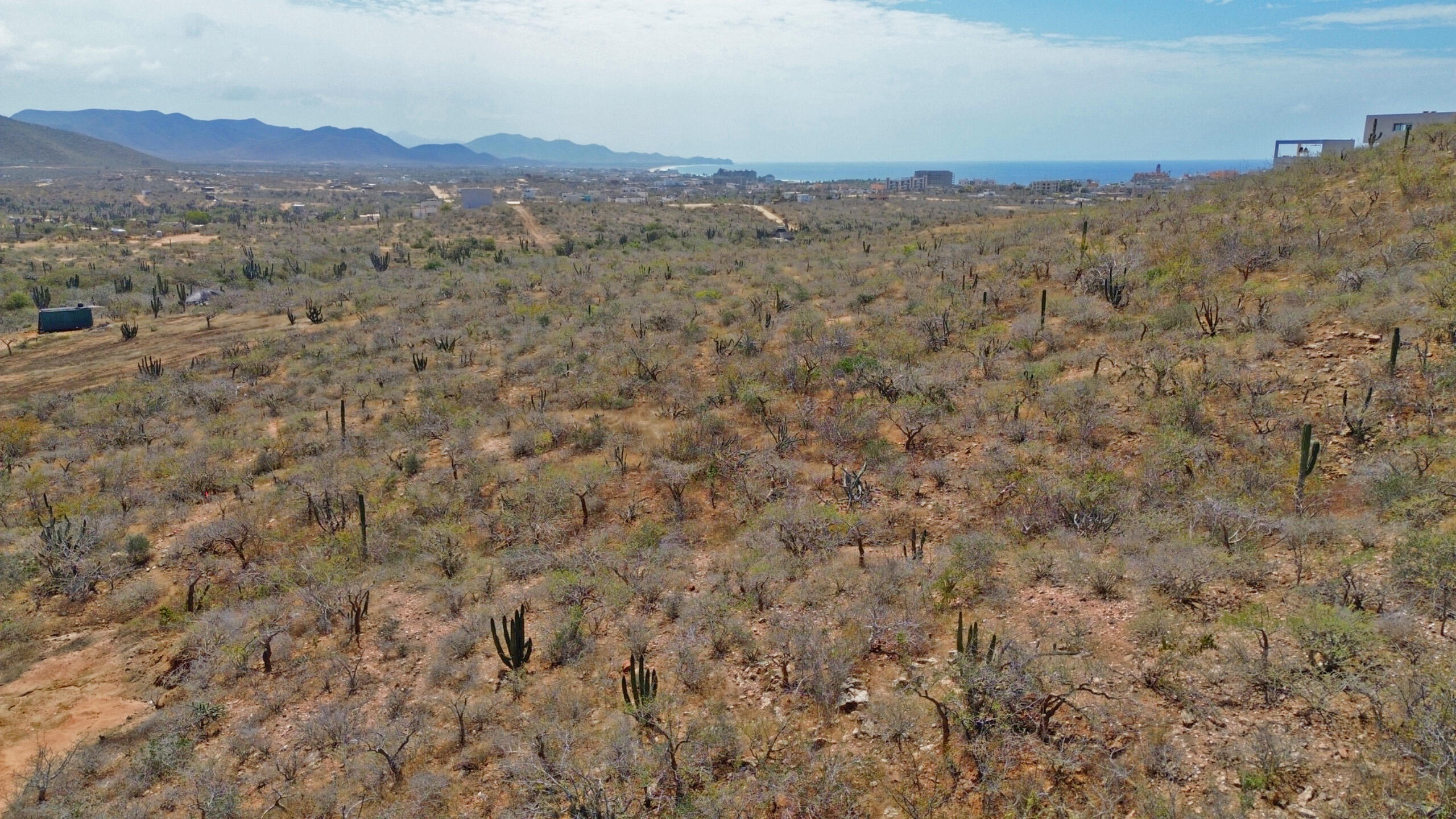 Los Cerritos, Los Cerritos 1021