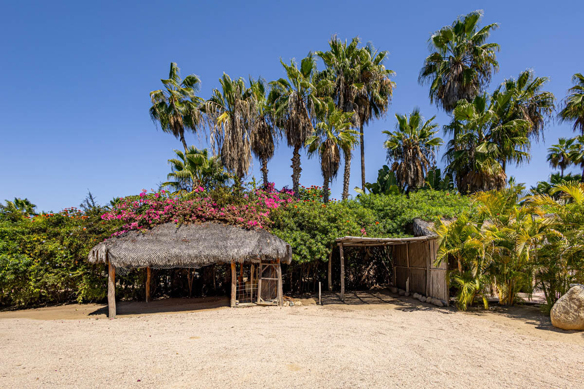 La Cachora North, Todos Santos