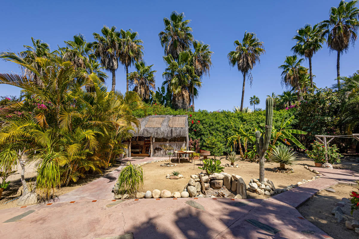 La Cachora North, Todos Santos