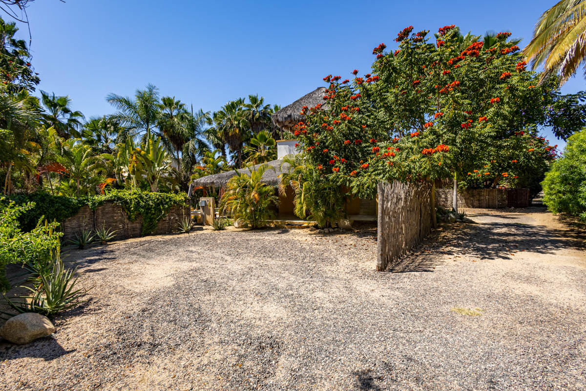 La Cachora North, Todos Santos