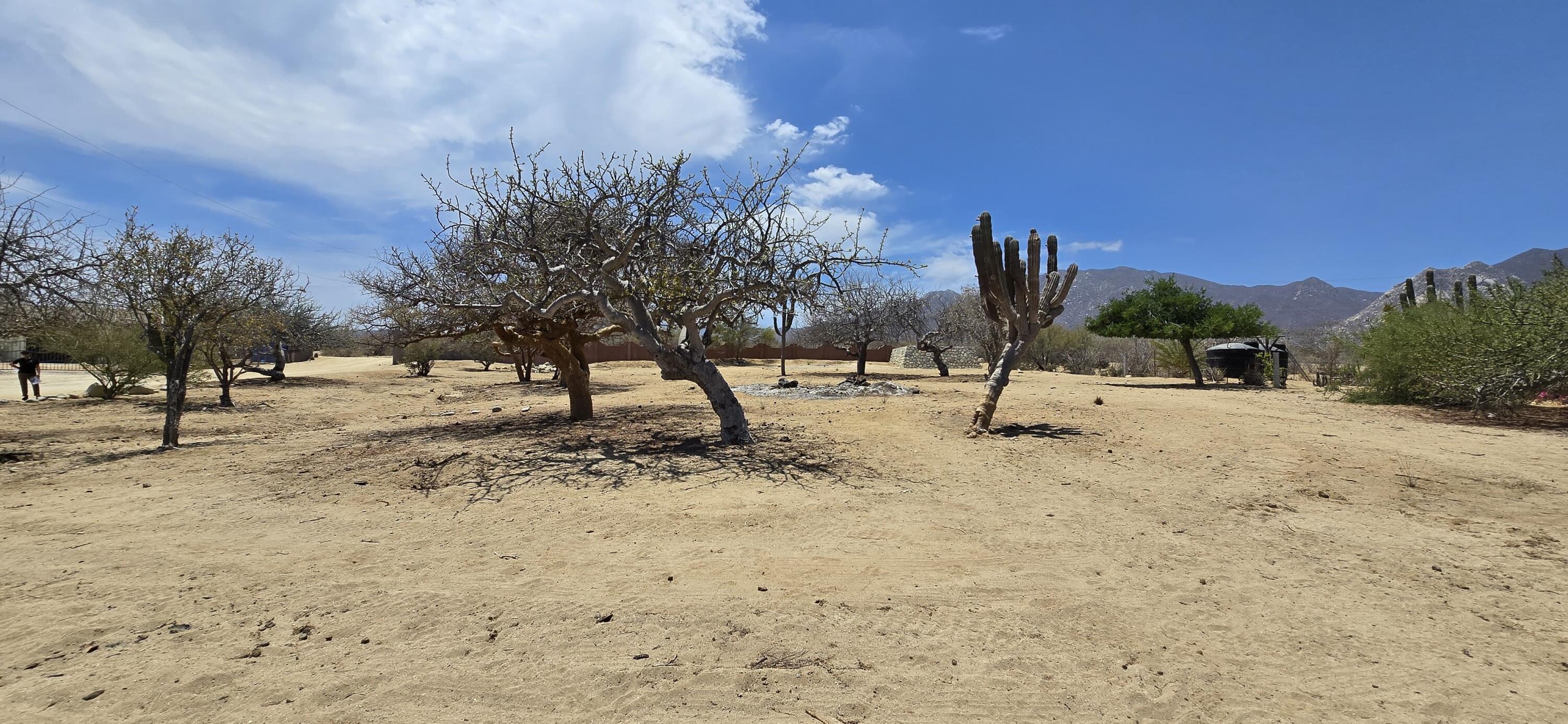 Los Barriles- Santa Teresa, ABP #16
