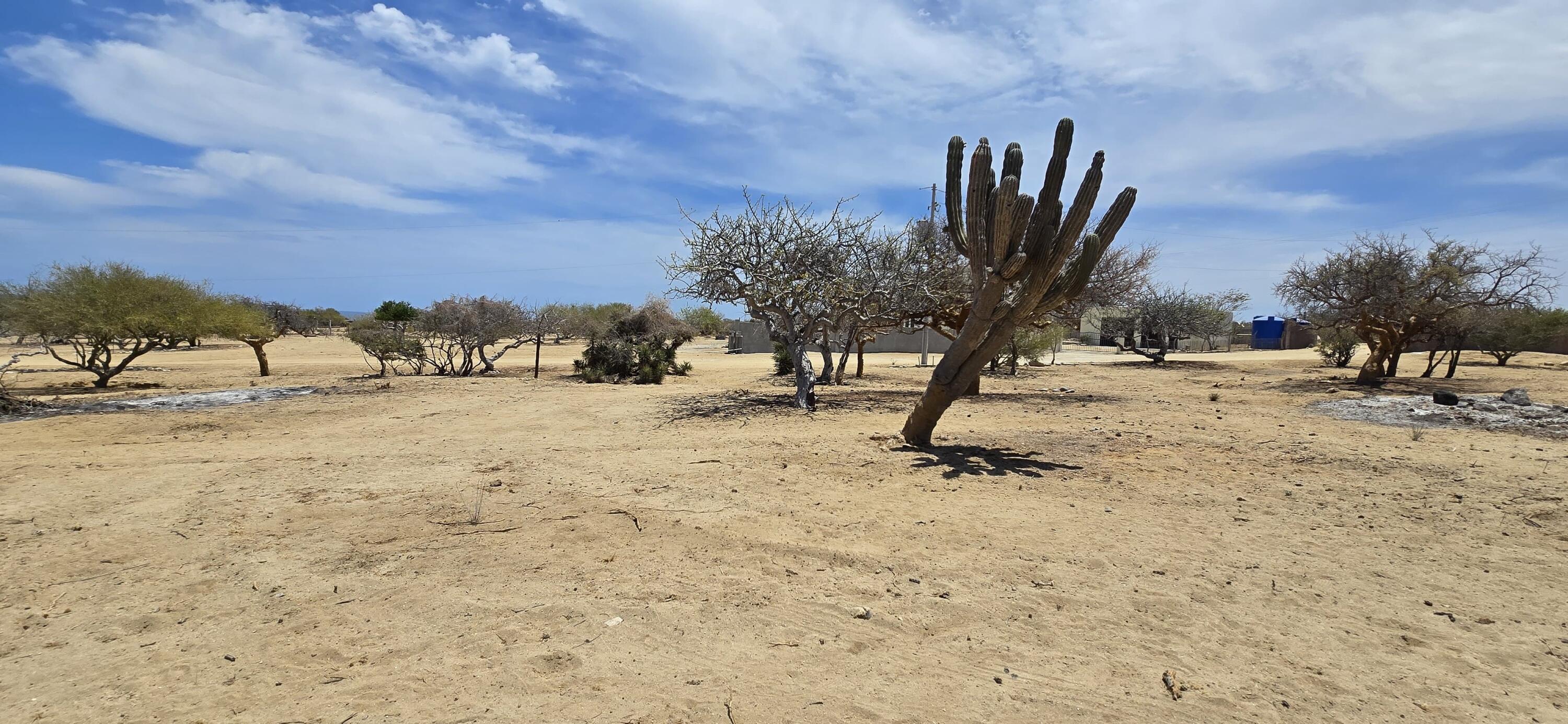 Los Barriles- Santa Teresa, ABP #16