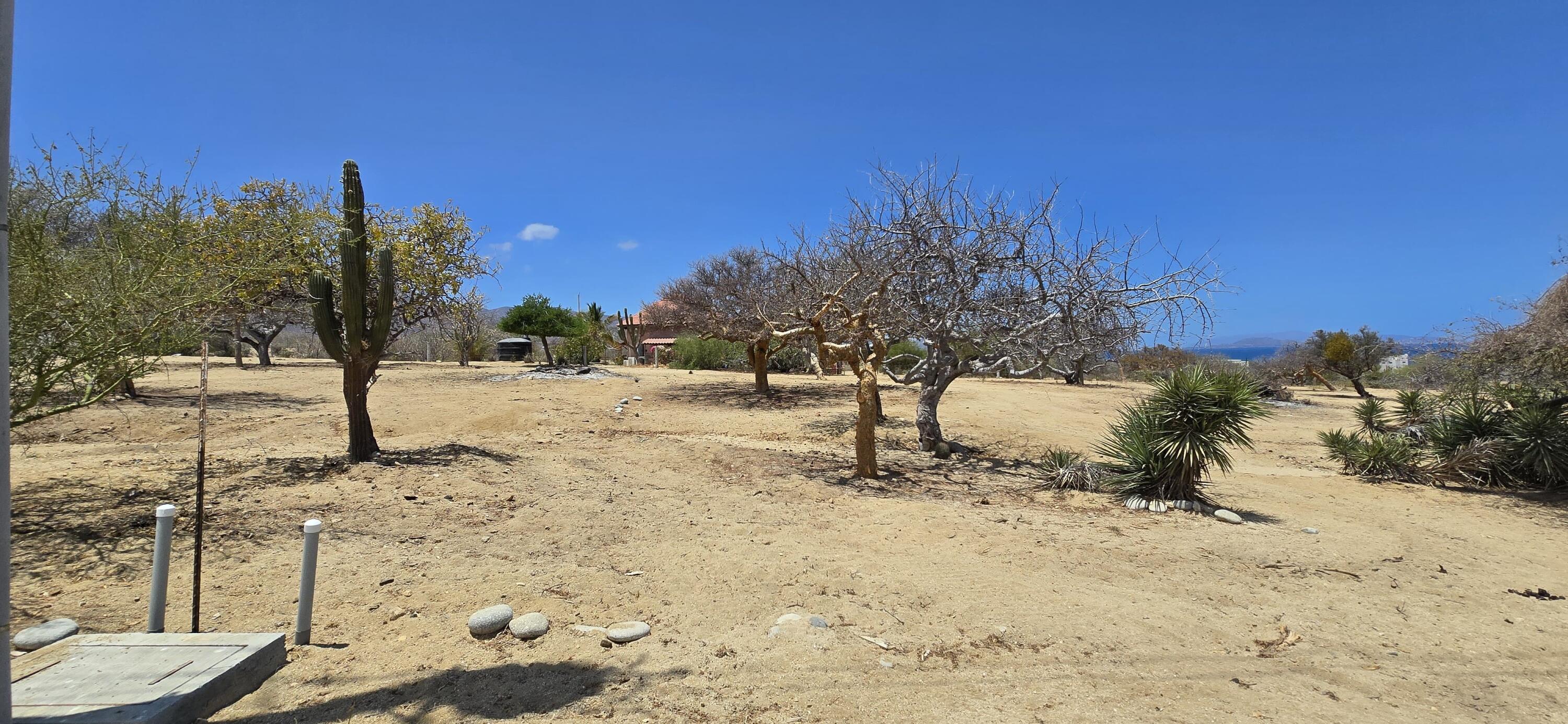 Los Barriles- Santa Teresa, ABP #16