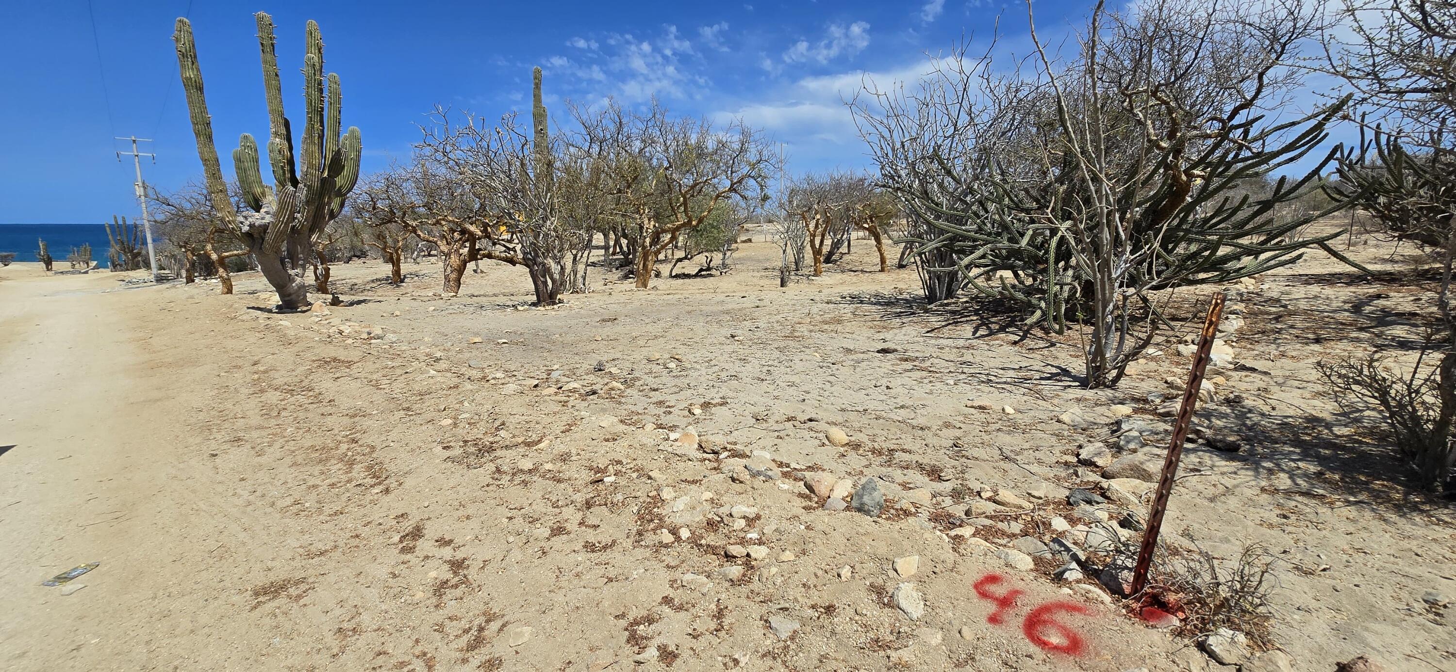 ABP#46 Sur Los Barriles-Santa Teresa, Lote Cerca al Mar