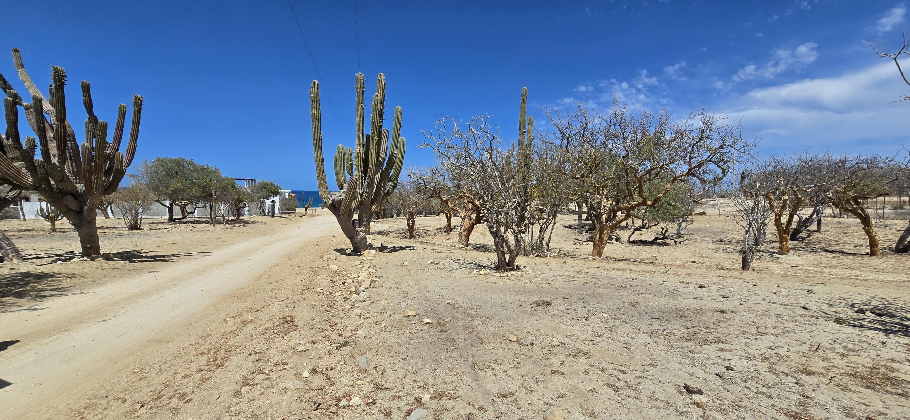 ABP#46 Sur Los Barriles-Santa Teresa, Lote Cerca al Mar