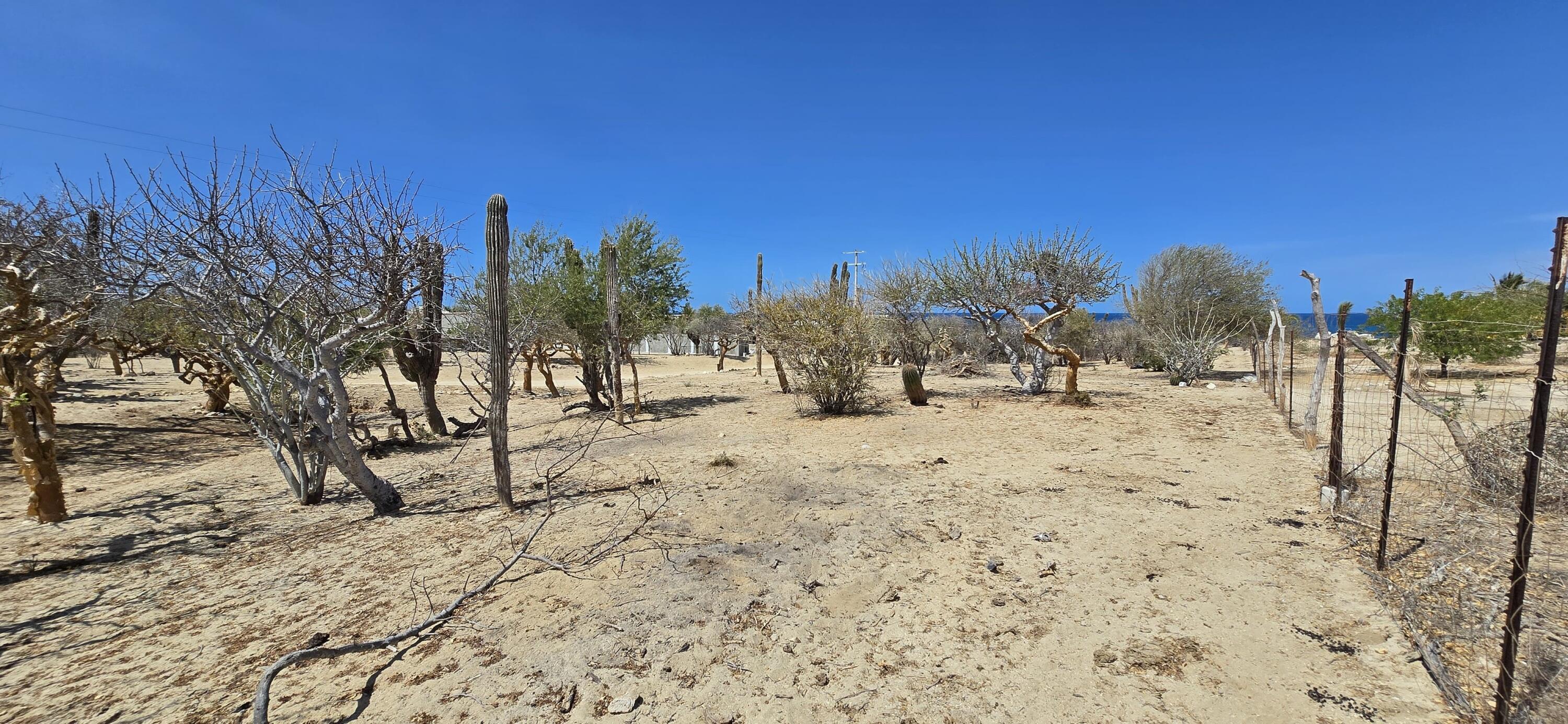 ABP#46 Sur Los Barriles-Santa Teresa, Lote Cerca al Mar