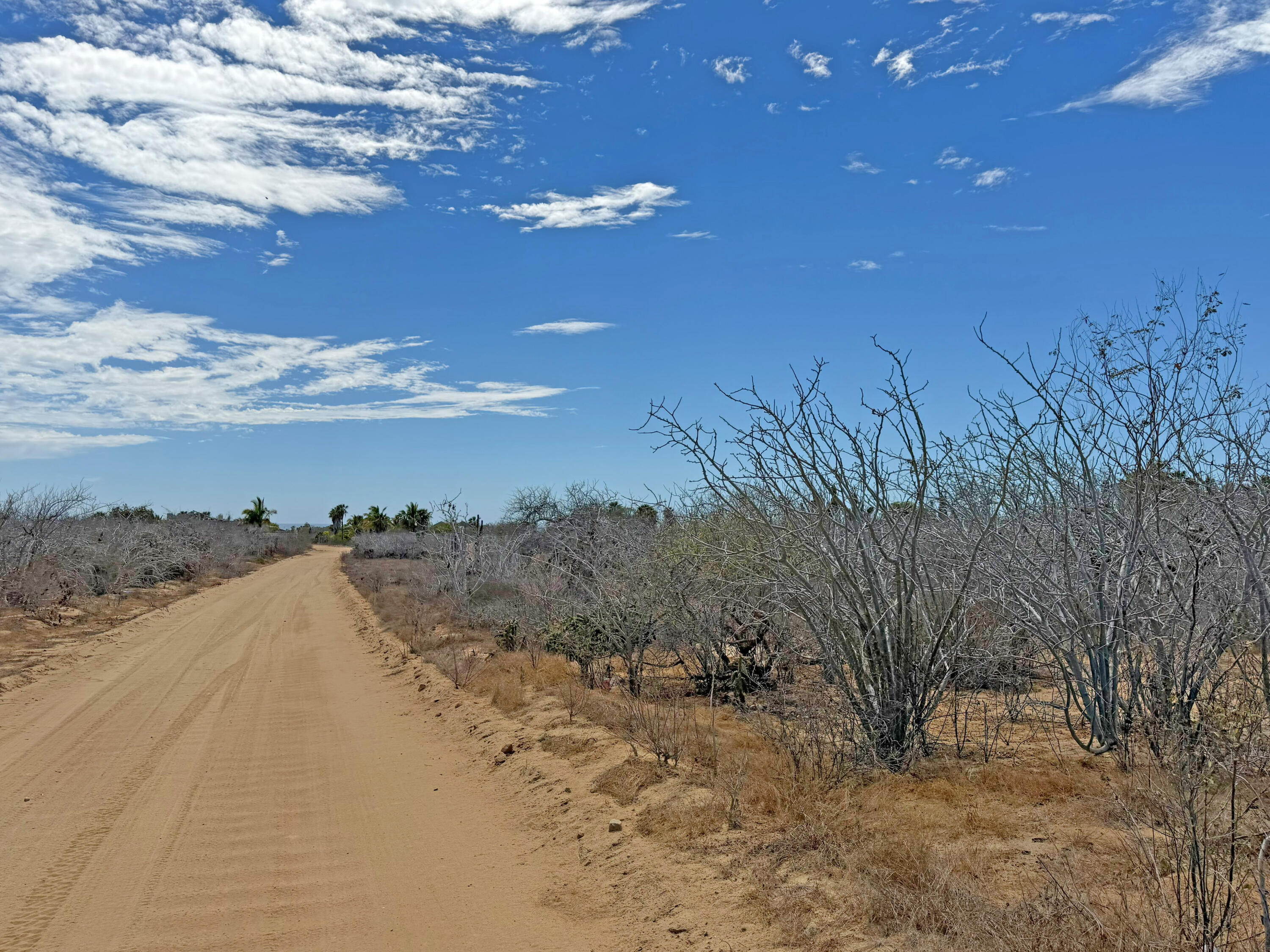 Elías Calles Value Lot