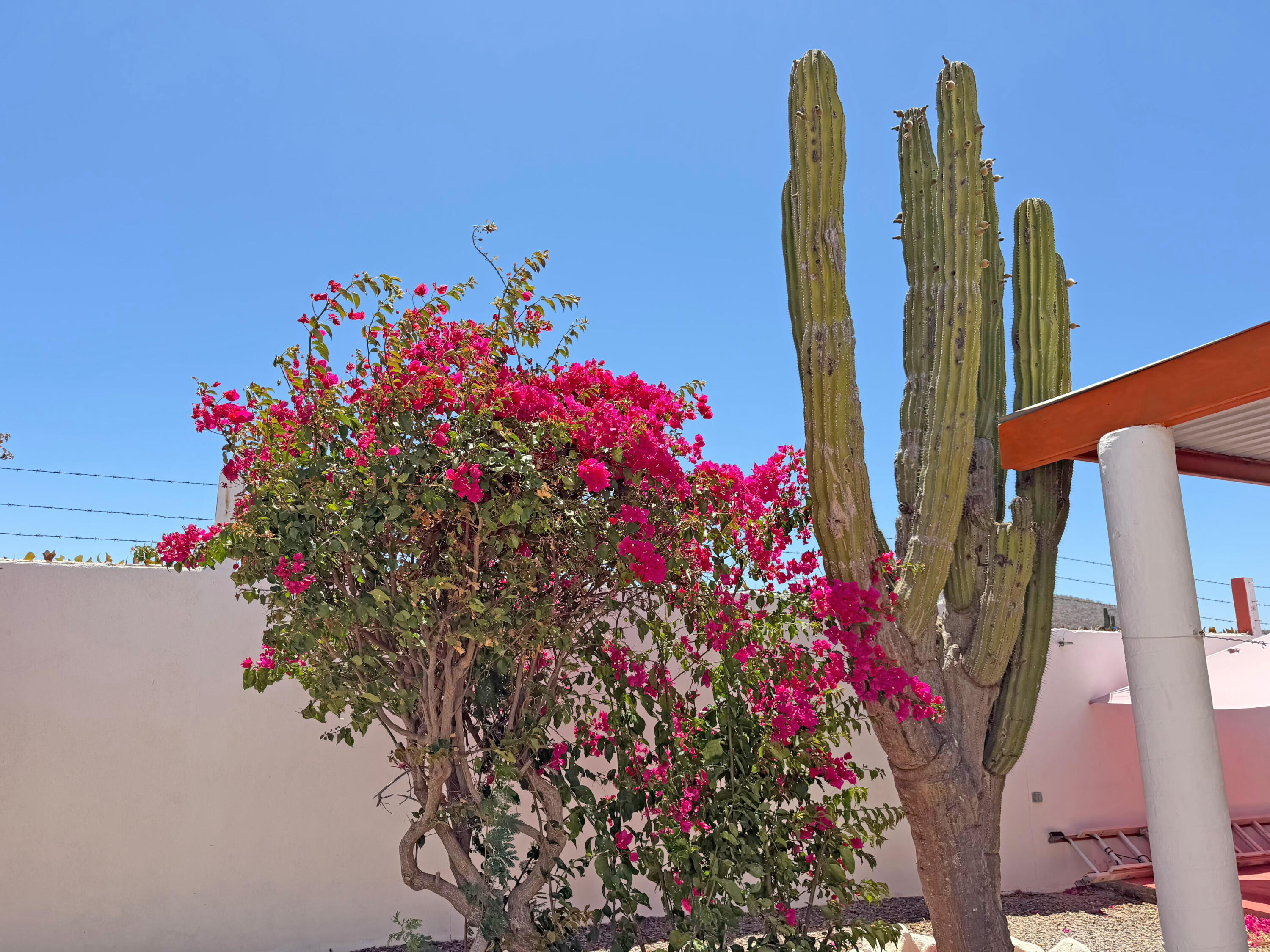 Casa Vista Migriño