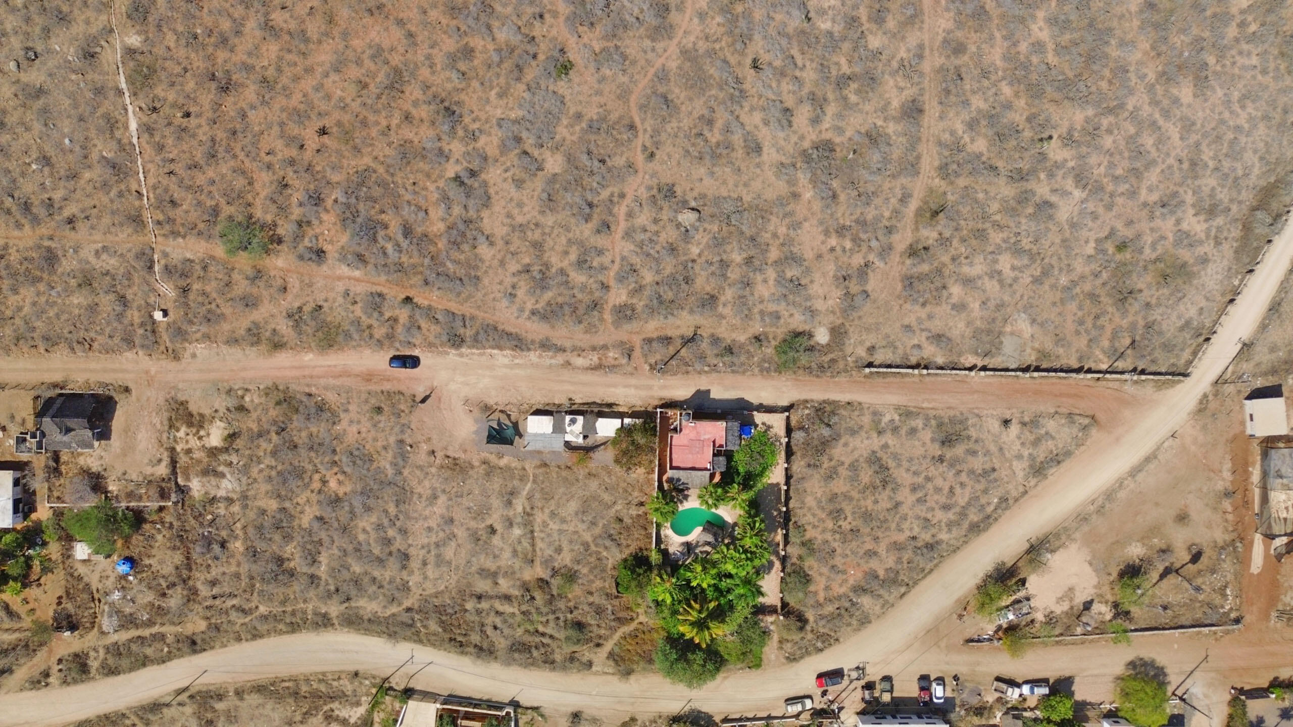 Lot 19
