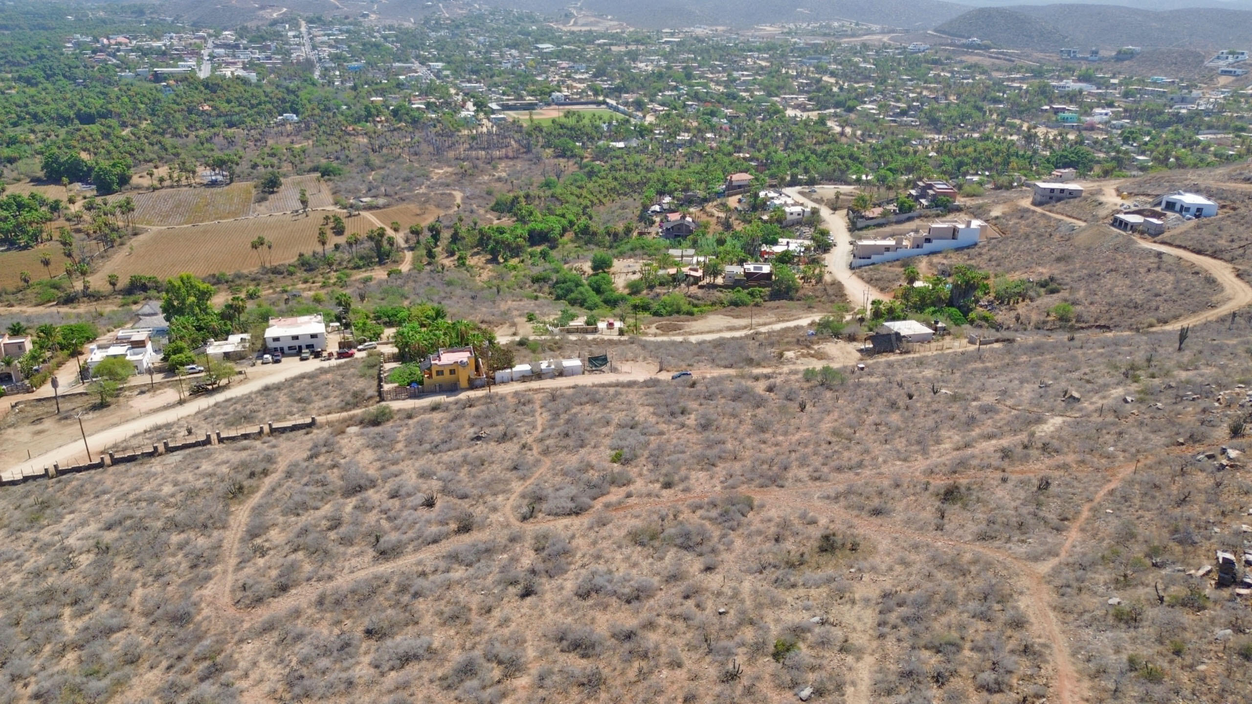 Lot 19