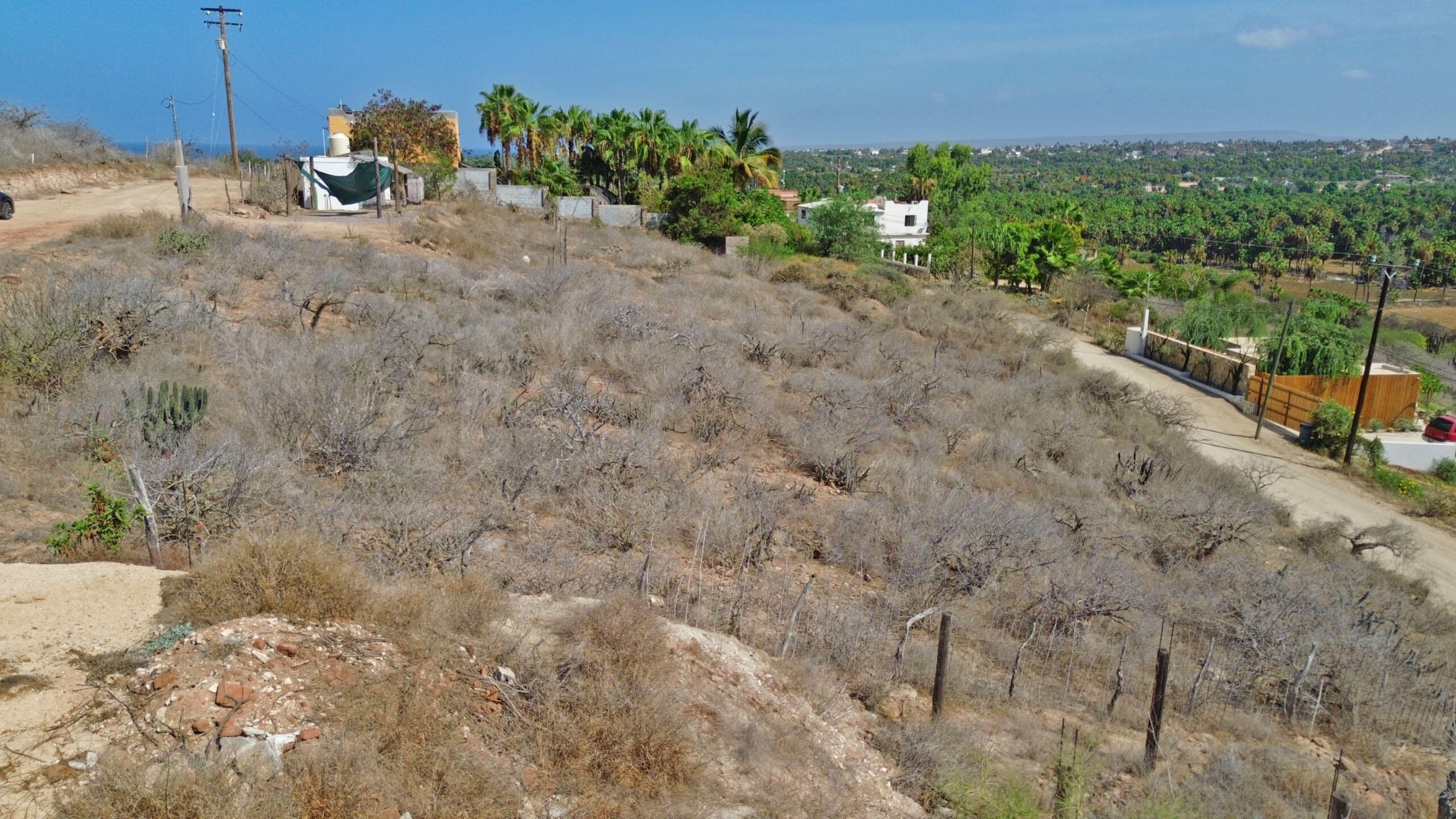 Lot 15