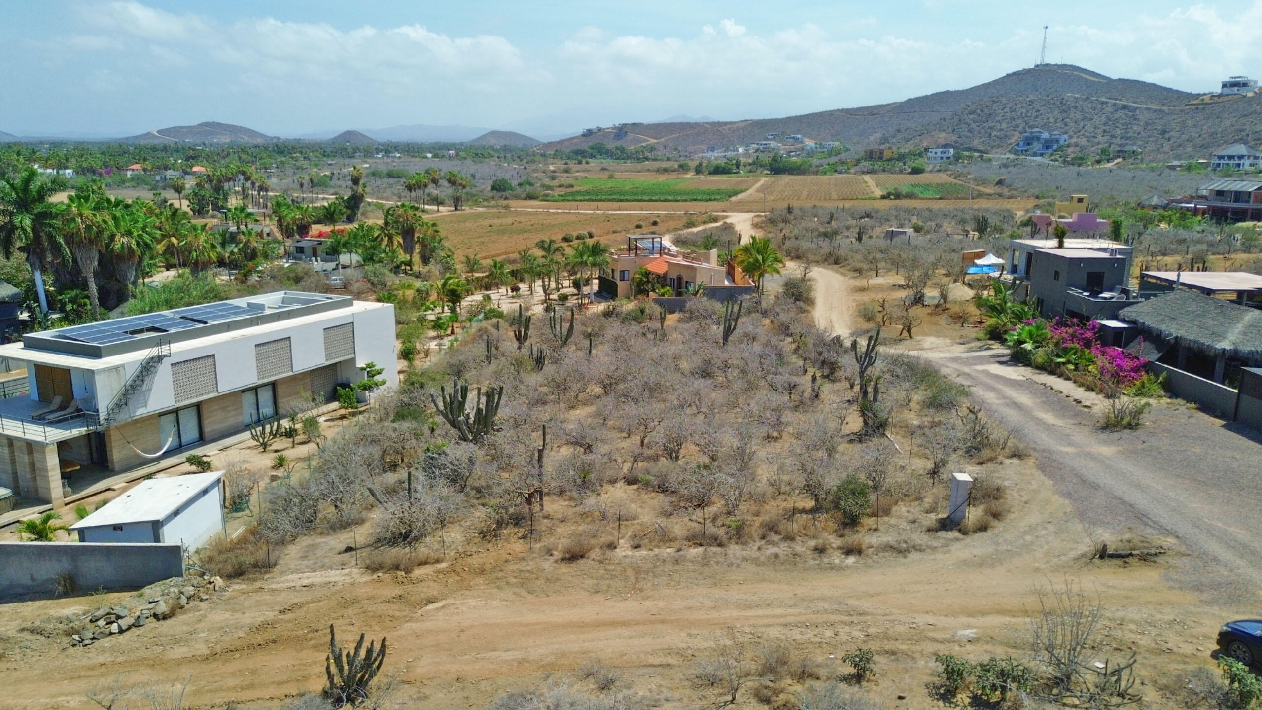 Gavilán Lot 2376