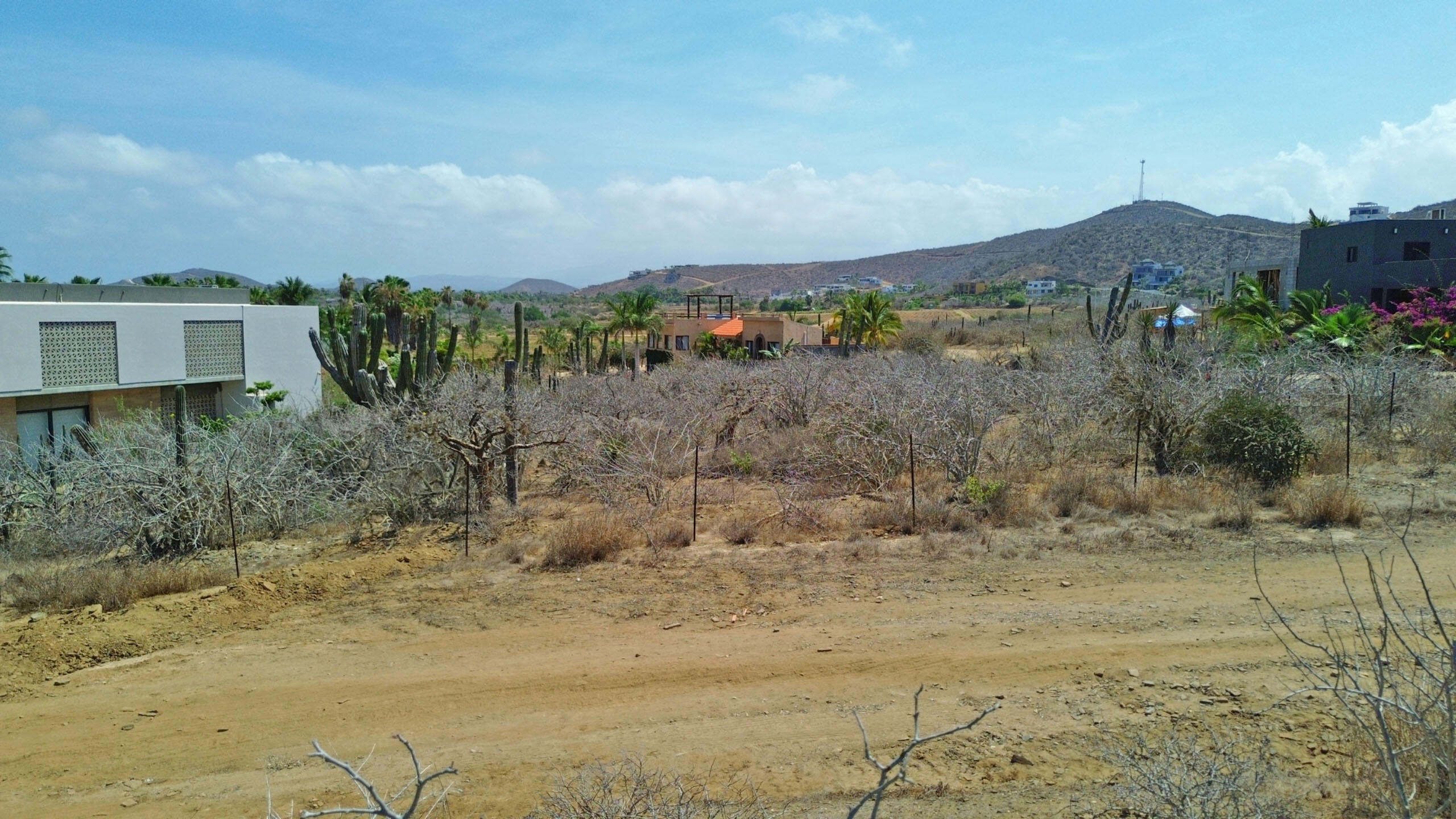 Gavilán Lot 2376
