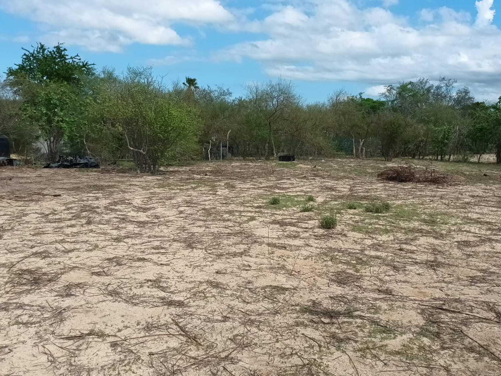 Lote 12 Manzana 19, Cactus Lot