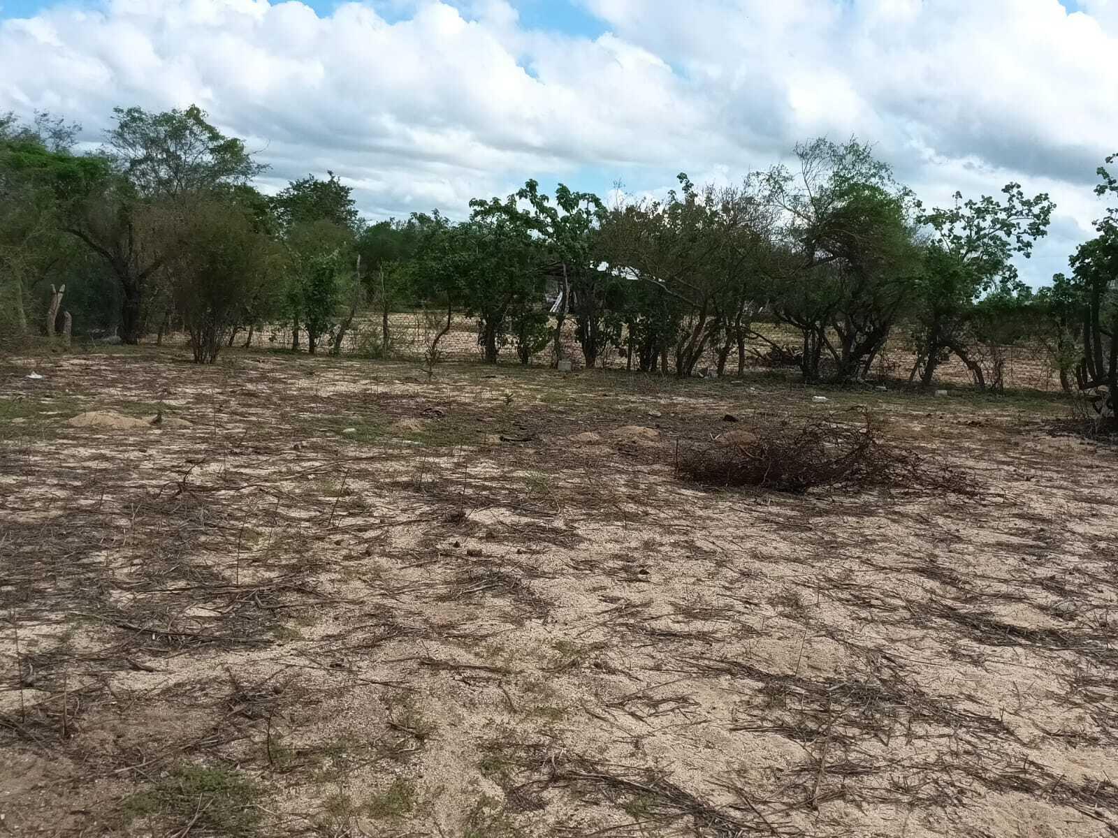 Lote 12 Manzana 19, Cactus Lot