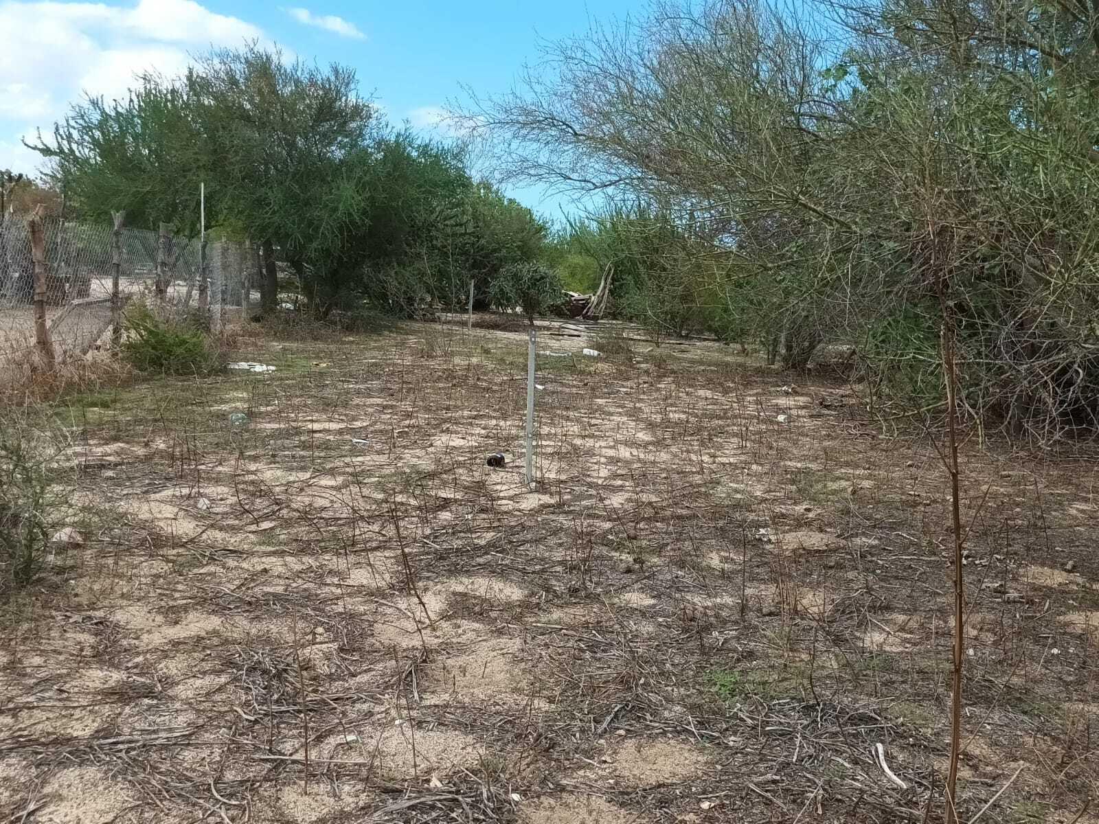 Lote 12 Manzana 19, Lote Cardon