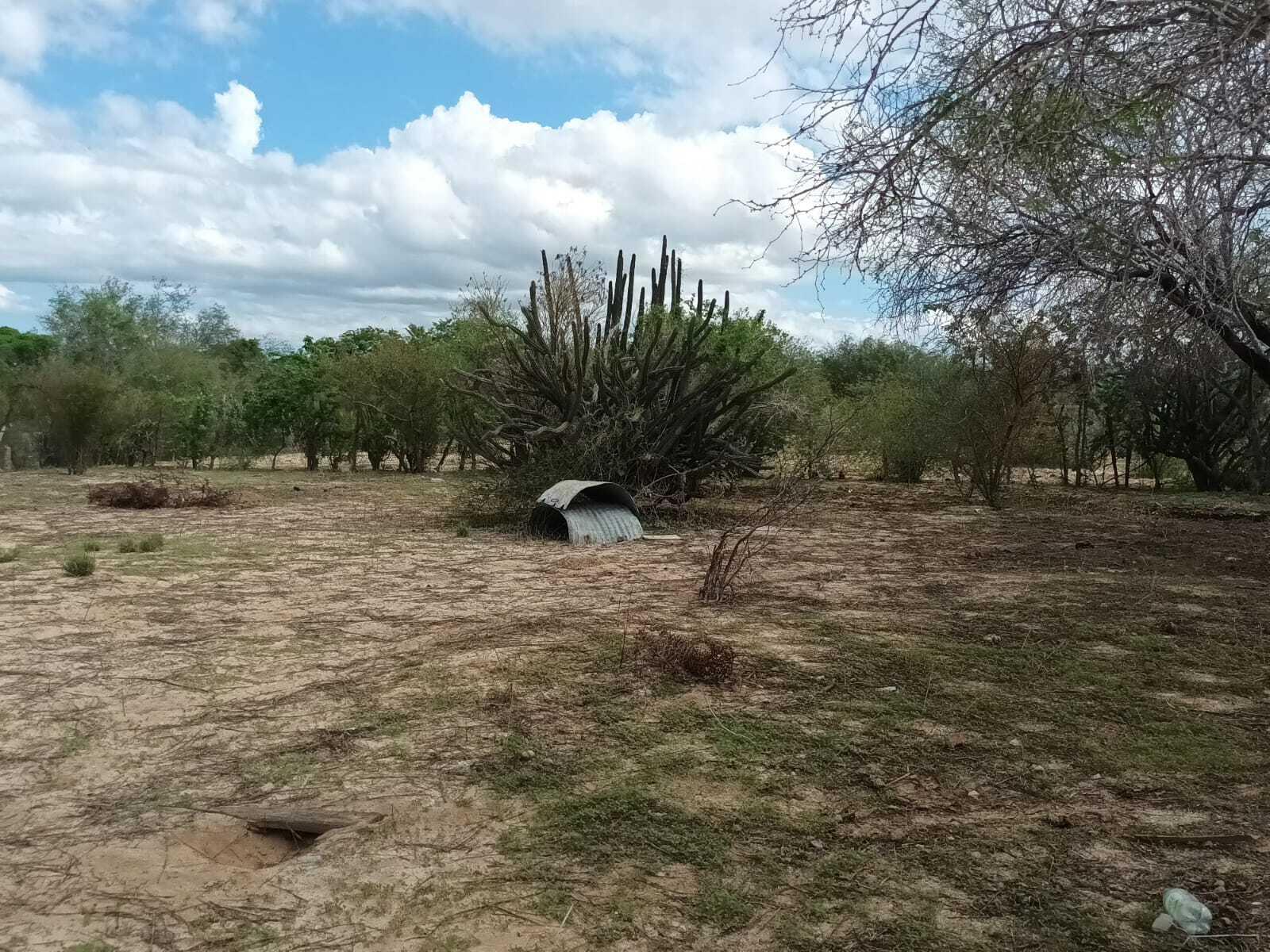 Lote 12 Manzana 19, Lote Cardon