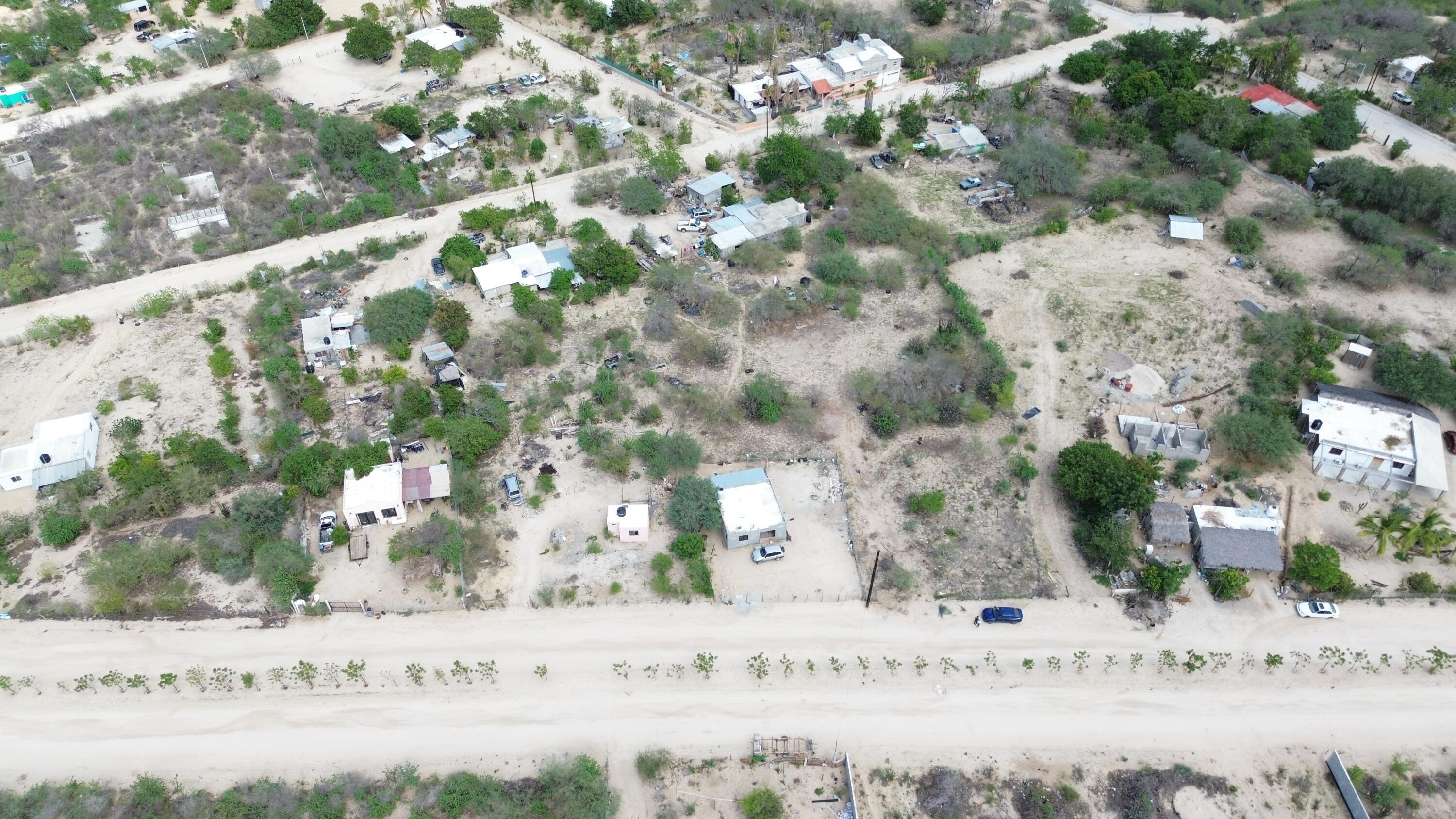 Lote 12 Manzana 19, Lote Cardon