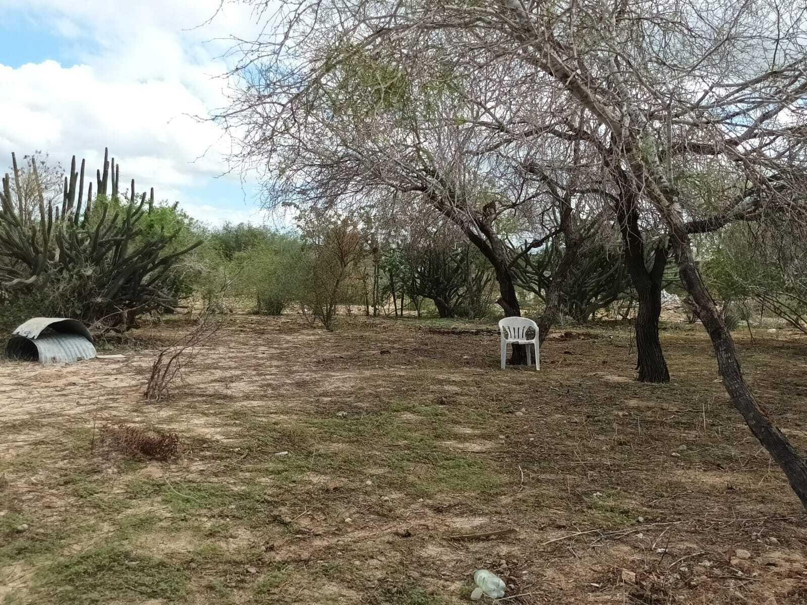 Lote 12 Manzana 19, Lote Cardon