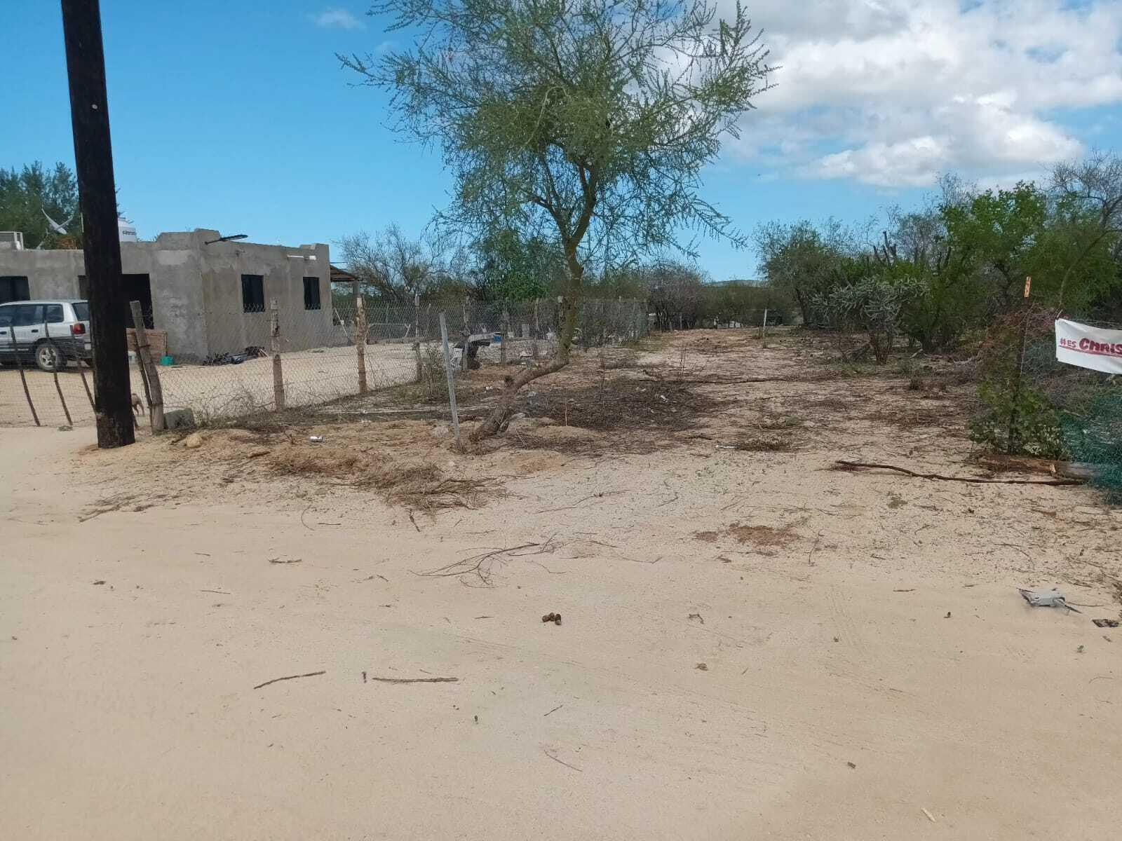 Lote 12 Manzana 19, Lote Cardon