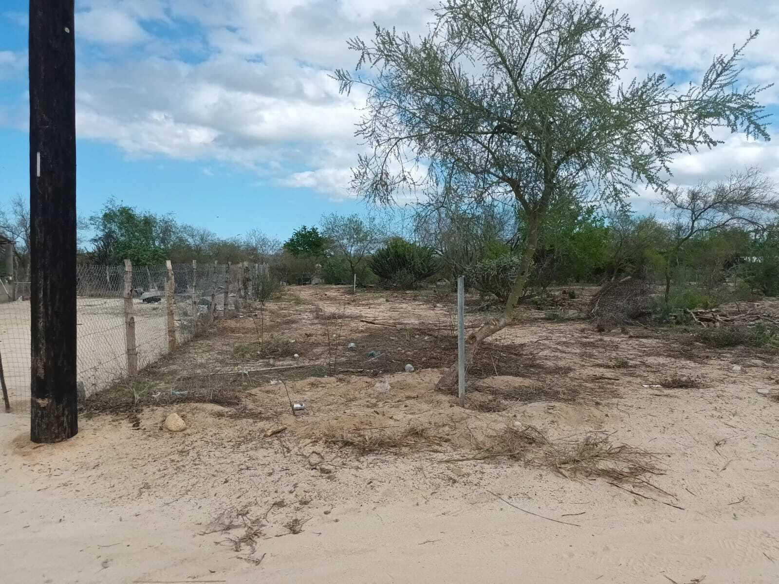 Lote 11 Manzana 19, Biznaga Lot